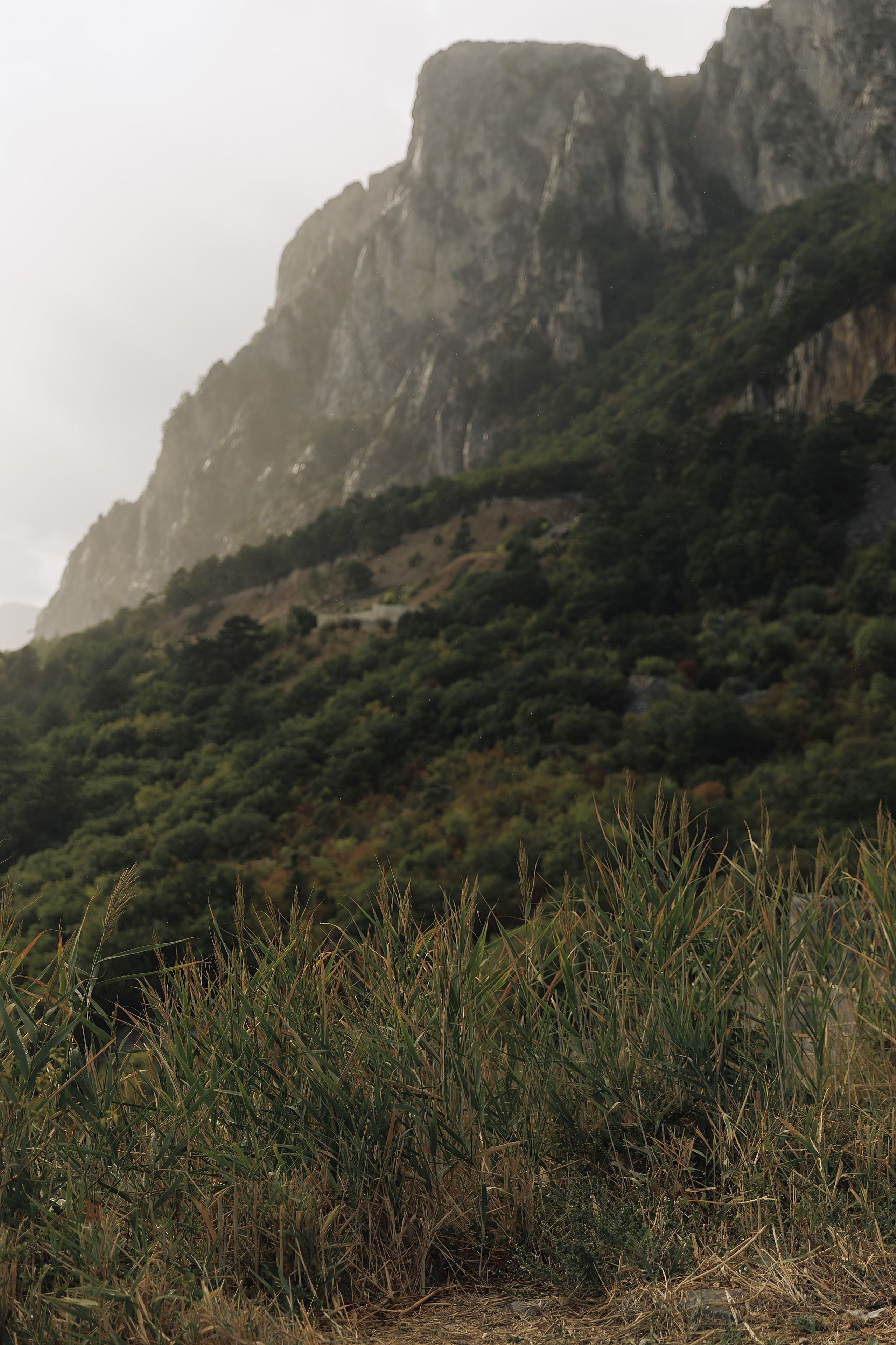 Kate & Andrew. Свадебный фотограф в Севастополе и Крыму| Tanya Sher
