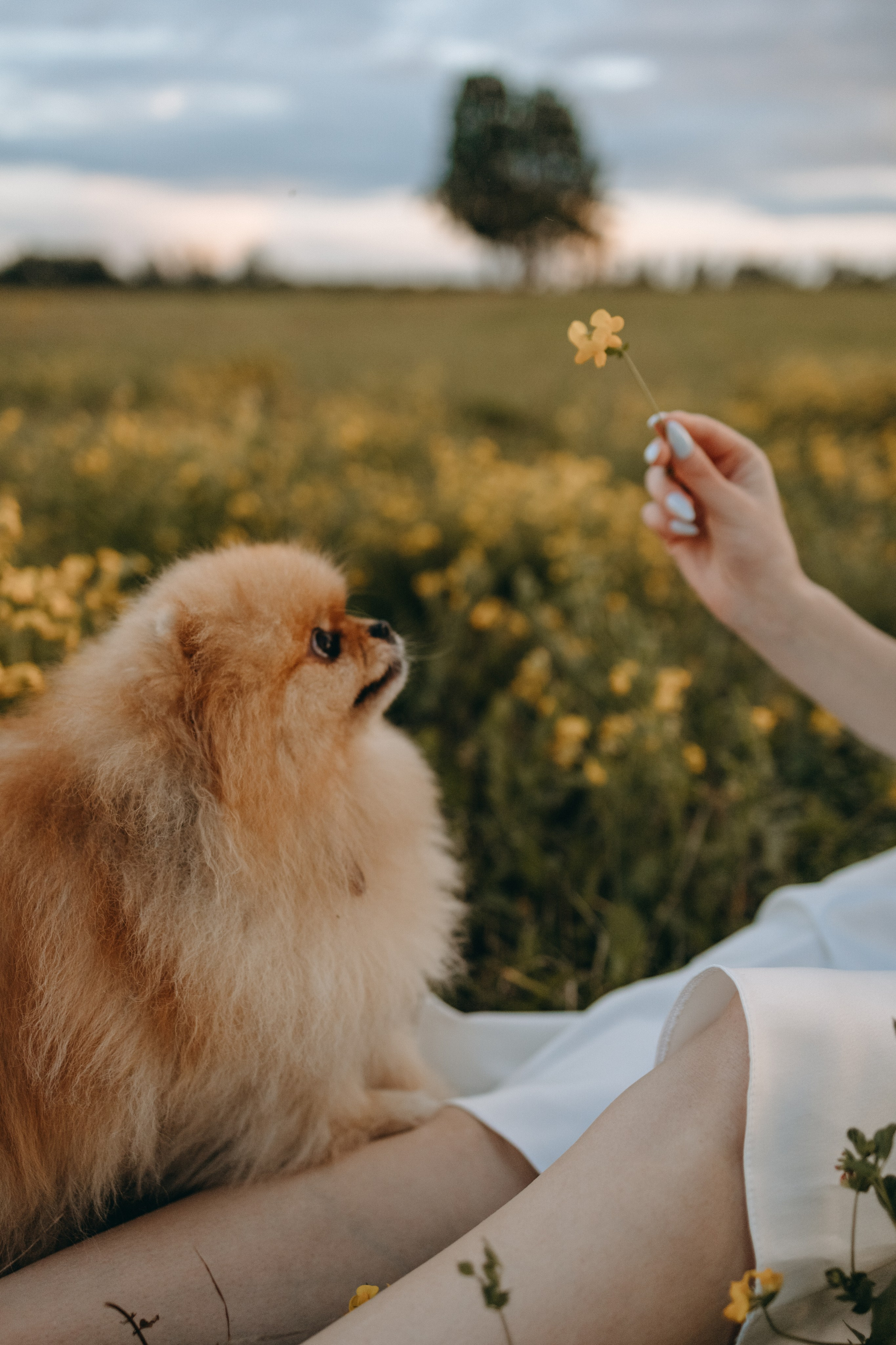 Стив и его семья. Фотограф — Анималист | Санкт-Петербург