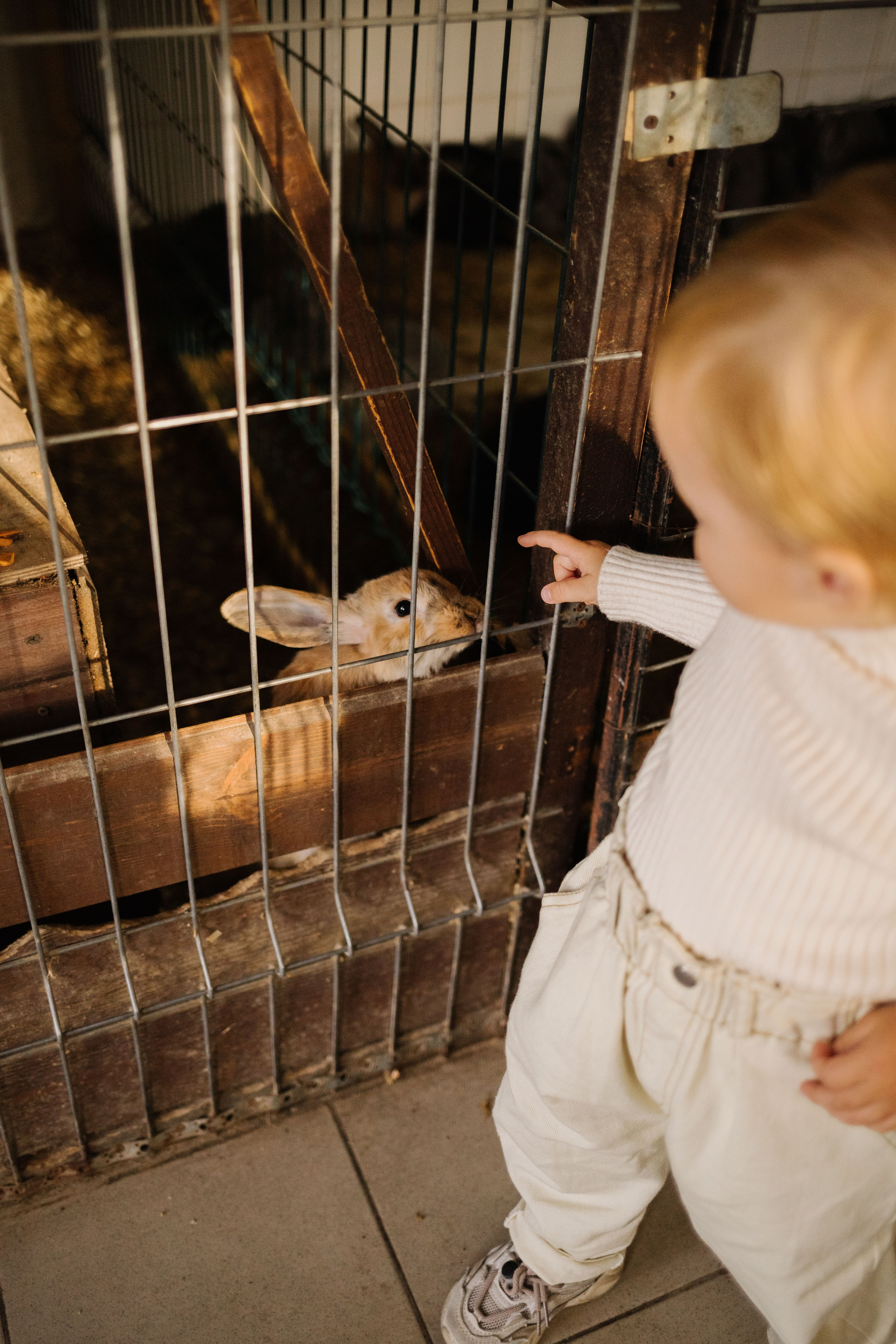 Машенька. Семейный фотограф Юлия Клишина