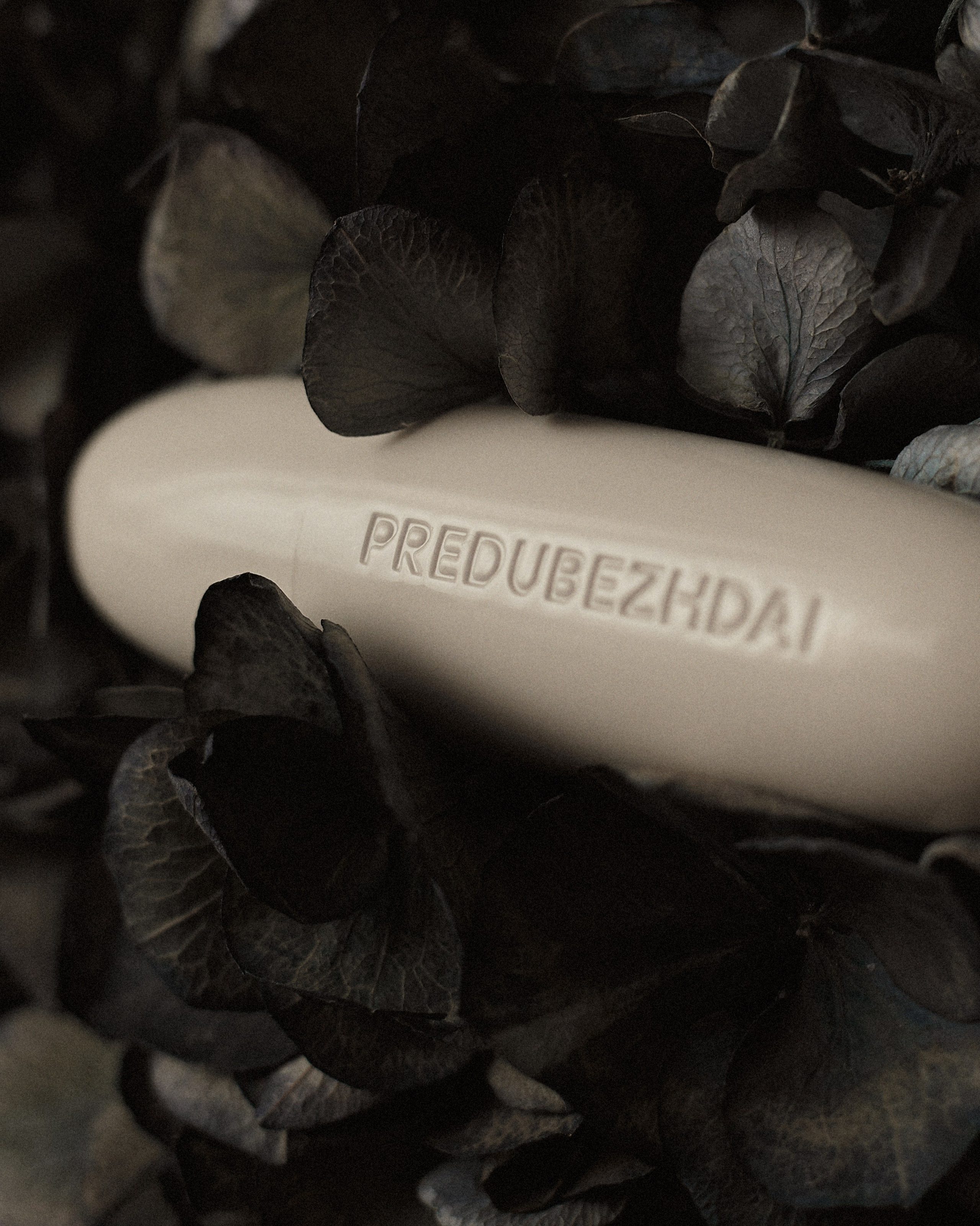 PREDUBEZHDAI. Лиза|фотограф для брендов и частных клиентов в Москве