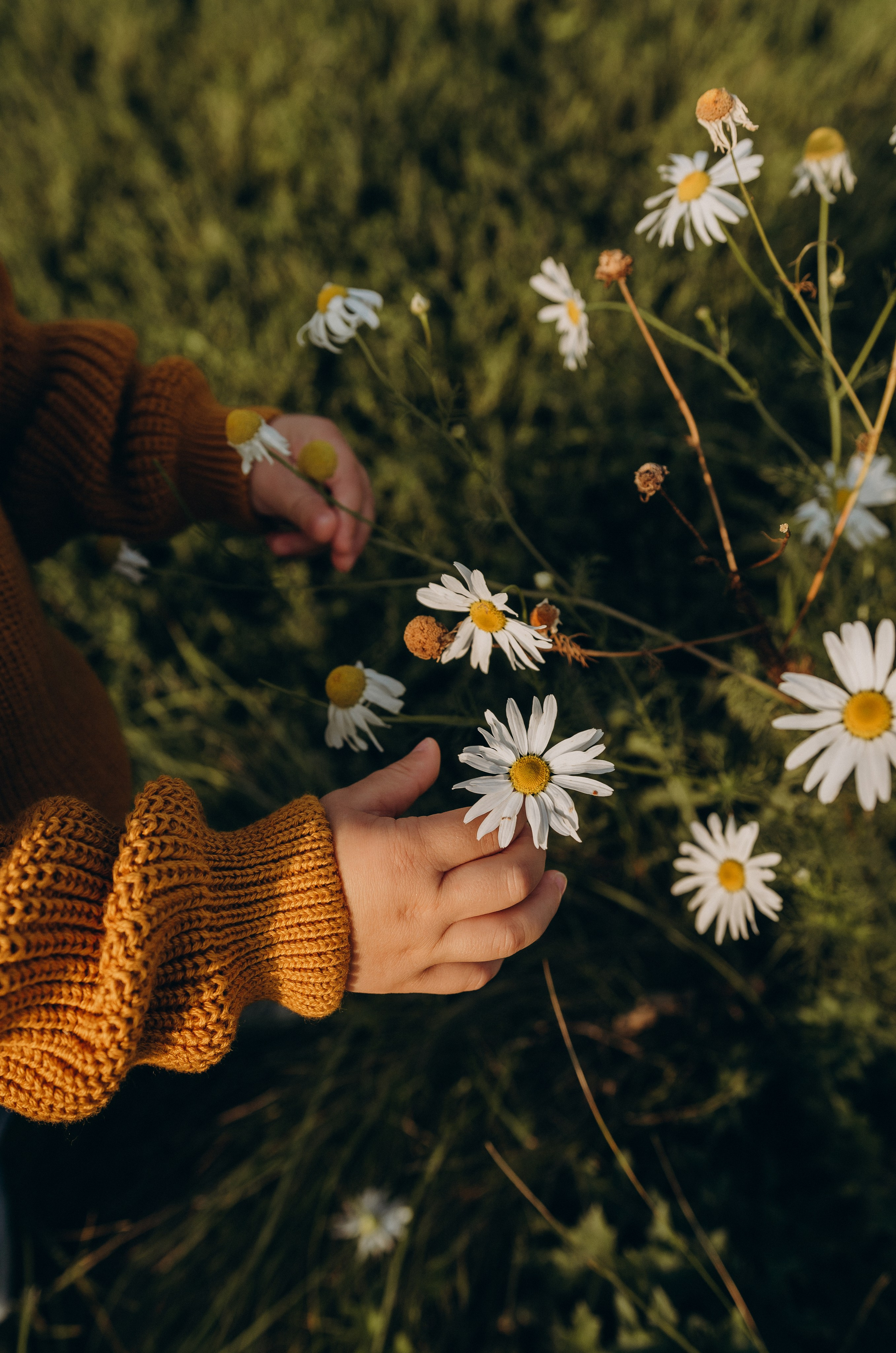 Мирон. Семейный и портретный фотограф в Новом Уренгое