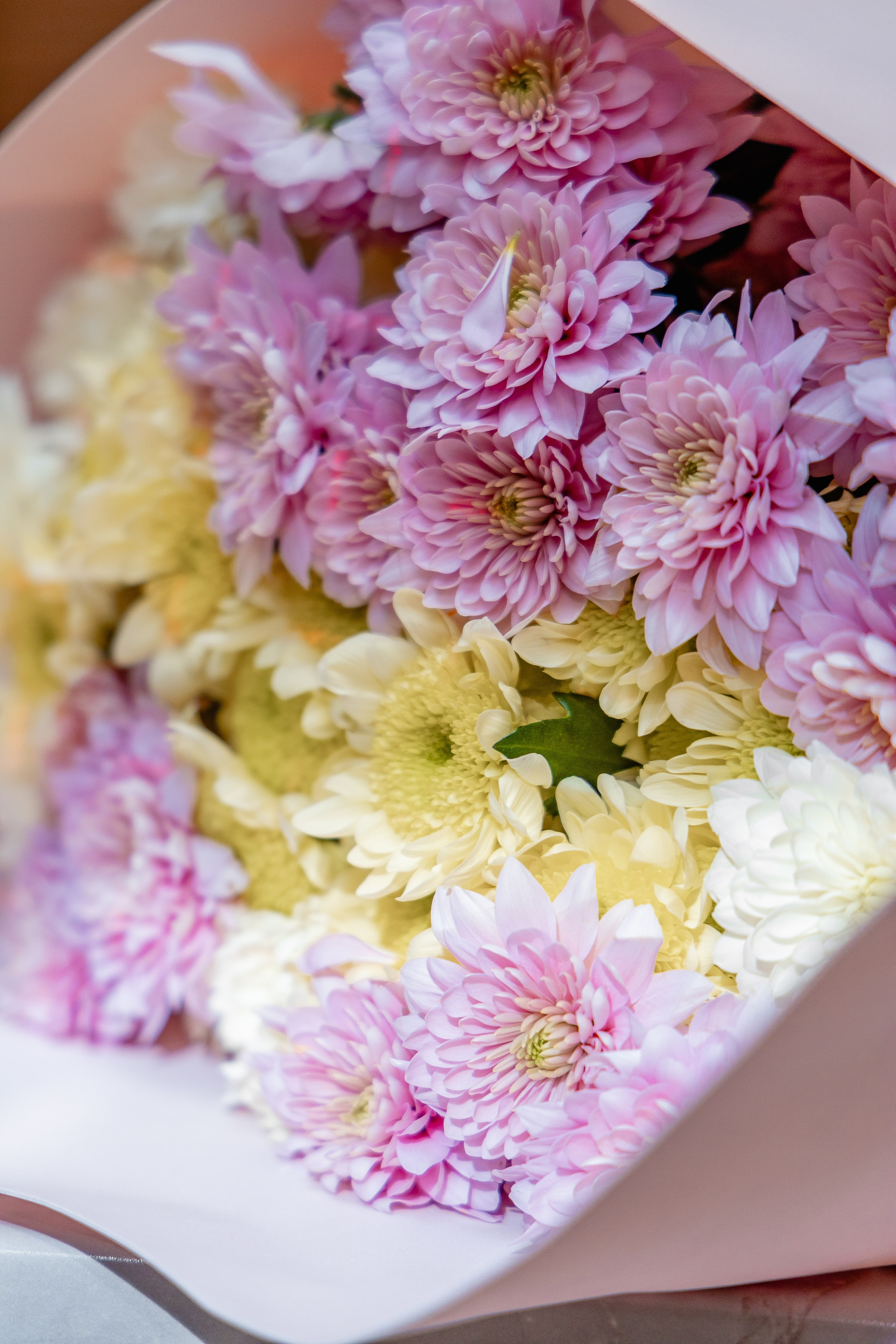 Какие Люди. Фотограф Елена Медок Калининград