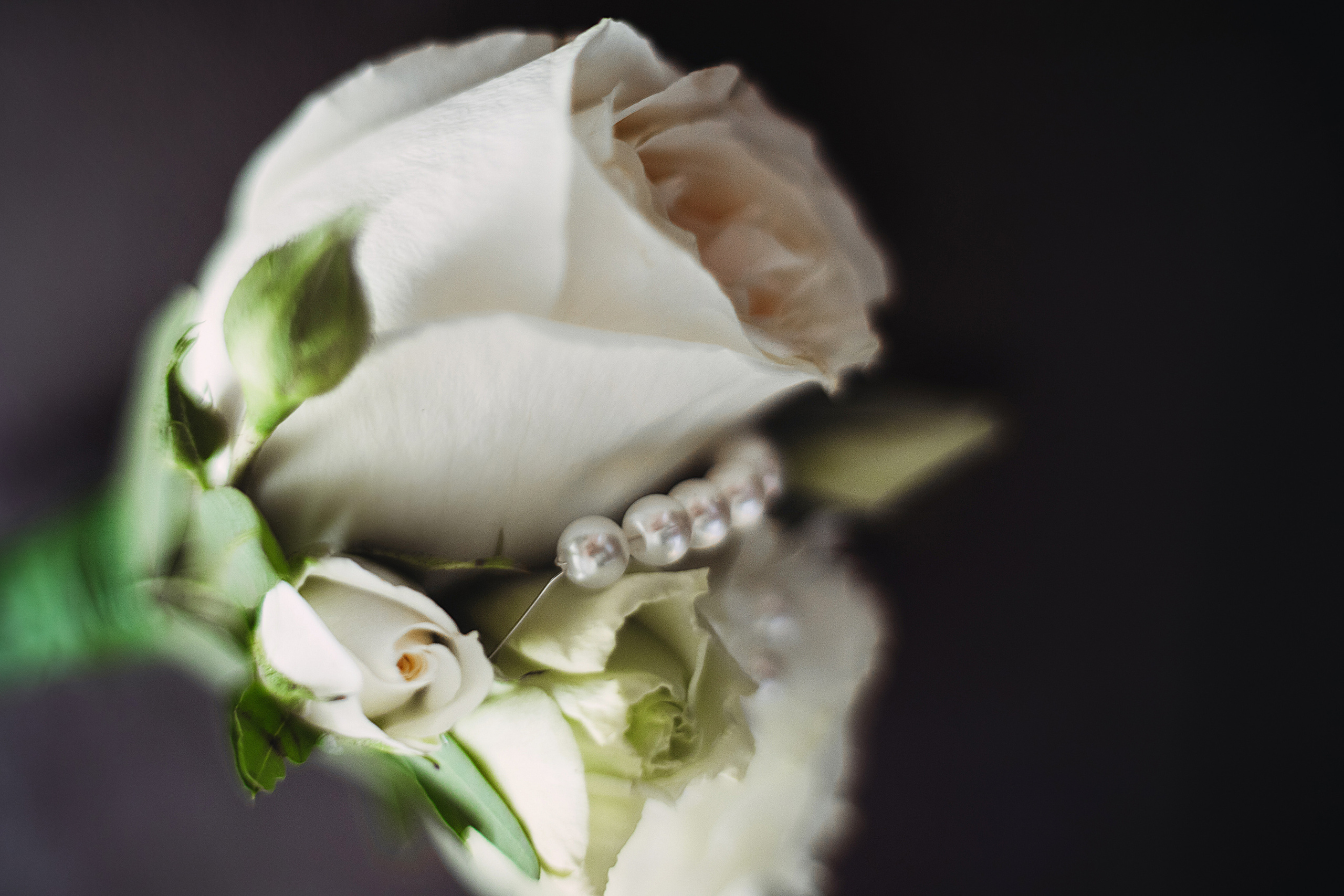 Александра и Даниил. Светлана Иванова - профессиональный фотограф