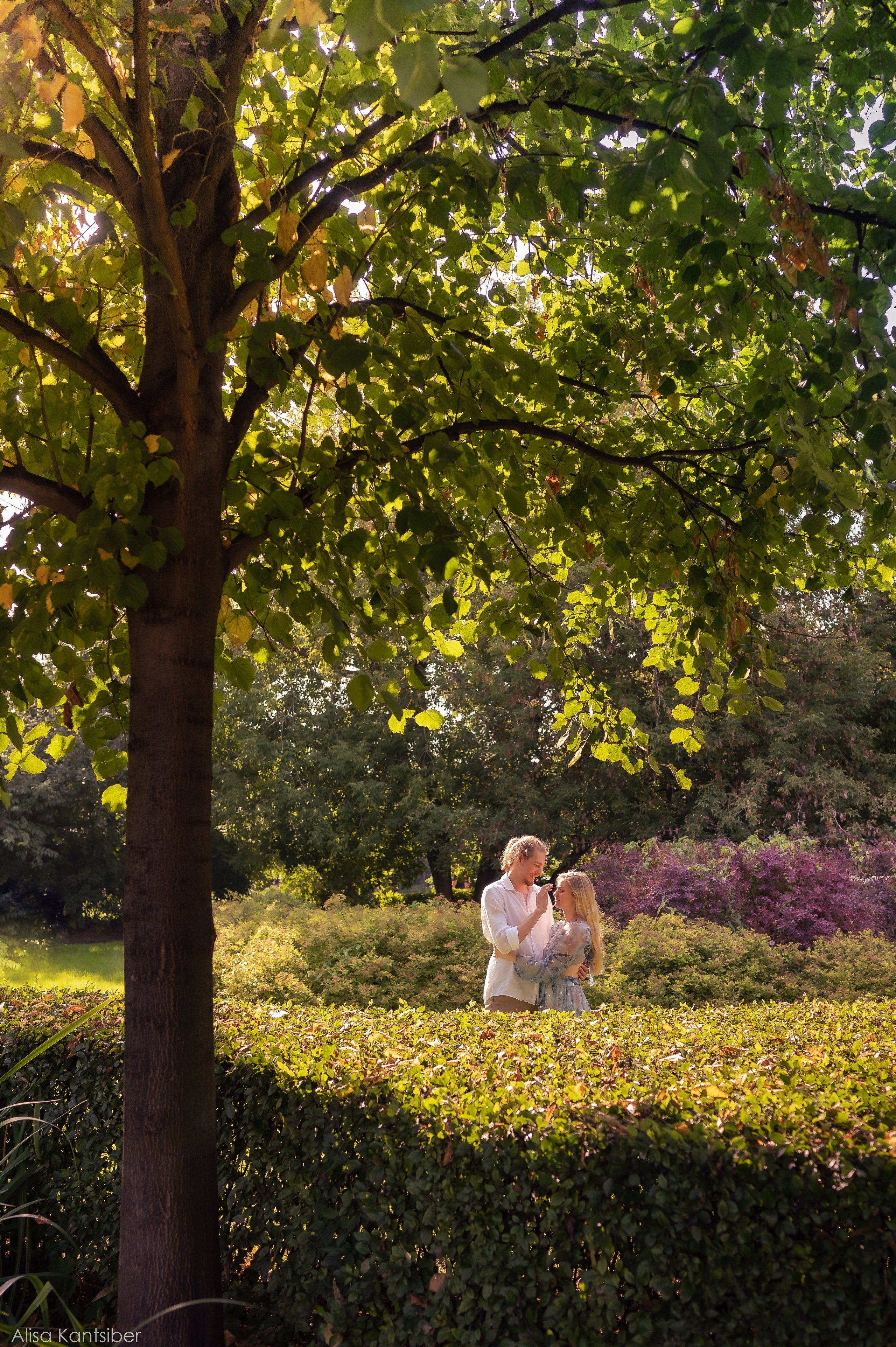 Валерия и Максим. Фотограф Алиса Канцибер. Москва. Портрет, семейное фото, свадьбы