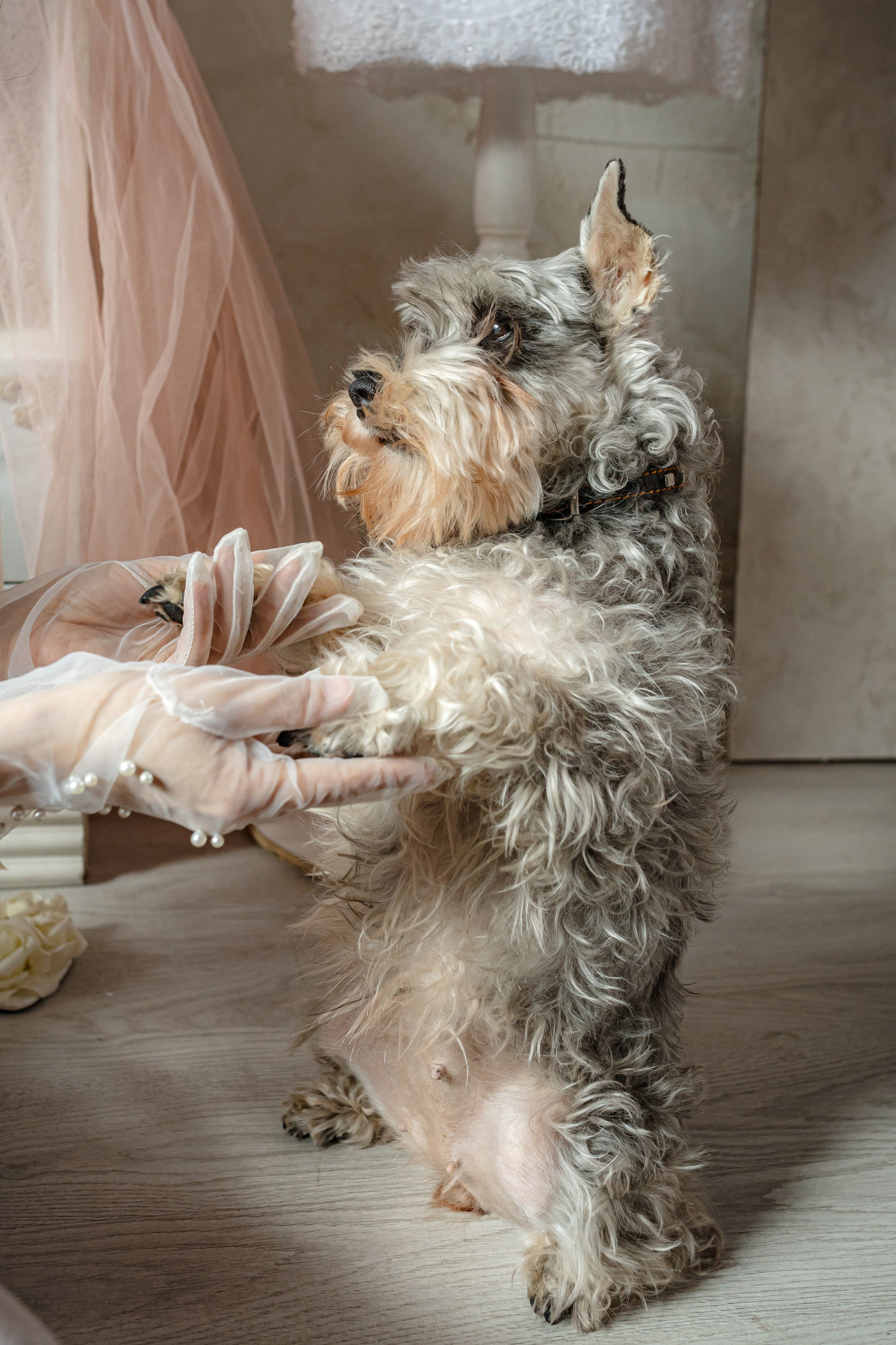 Альфия. Фотограф Таганрог и Ростов-на-Дону