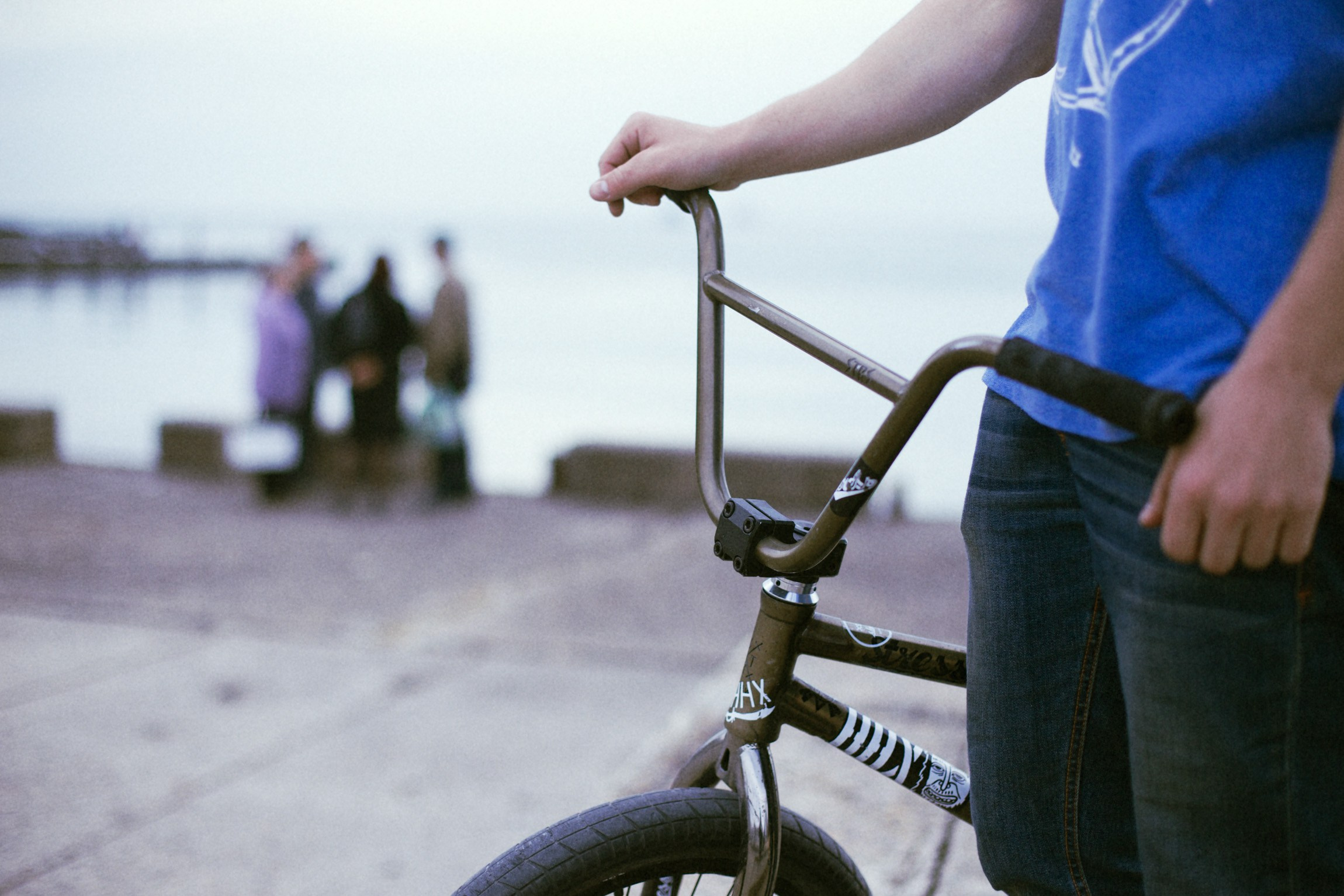 Lifestyle. Bivol images