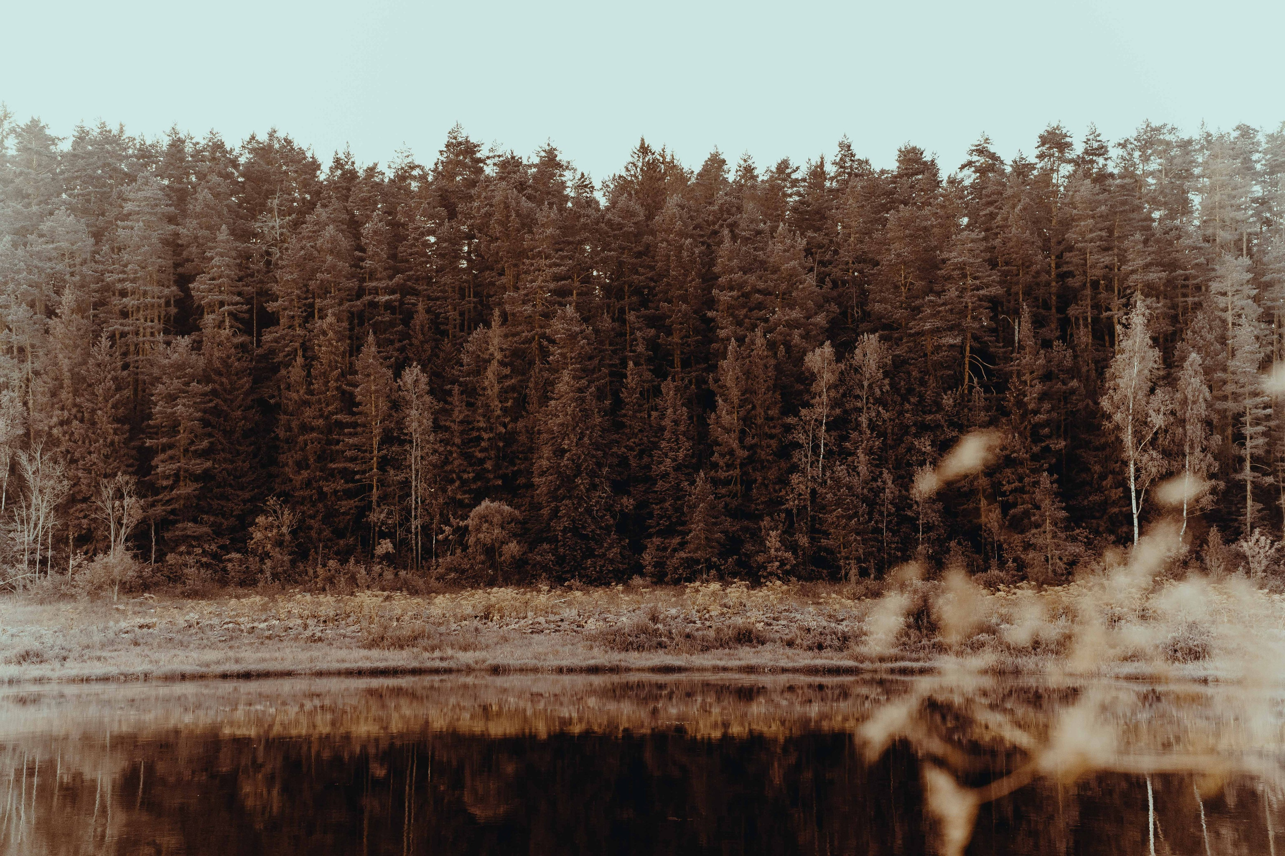 Отряд: эпоха Кометы. Фотограф Аннё| Москва