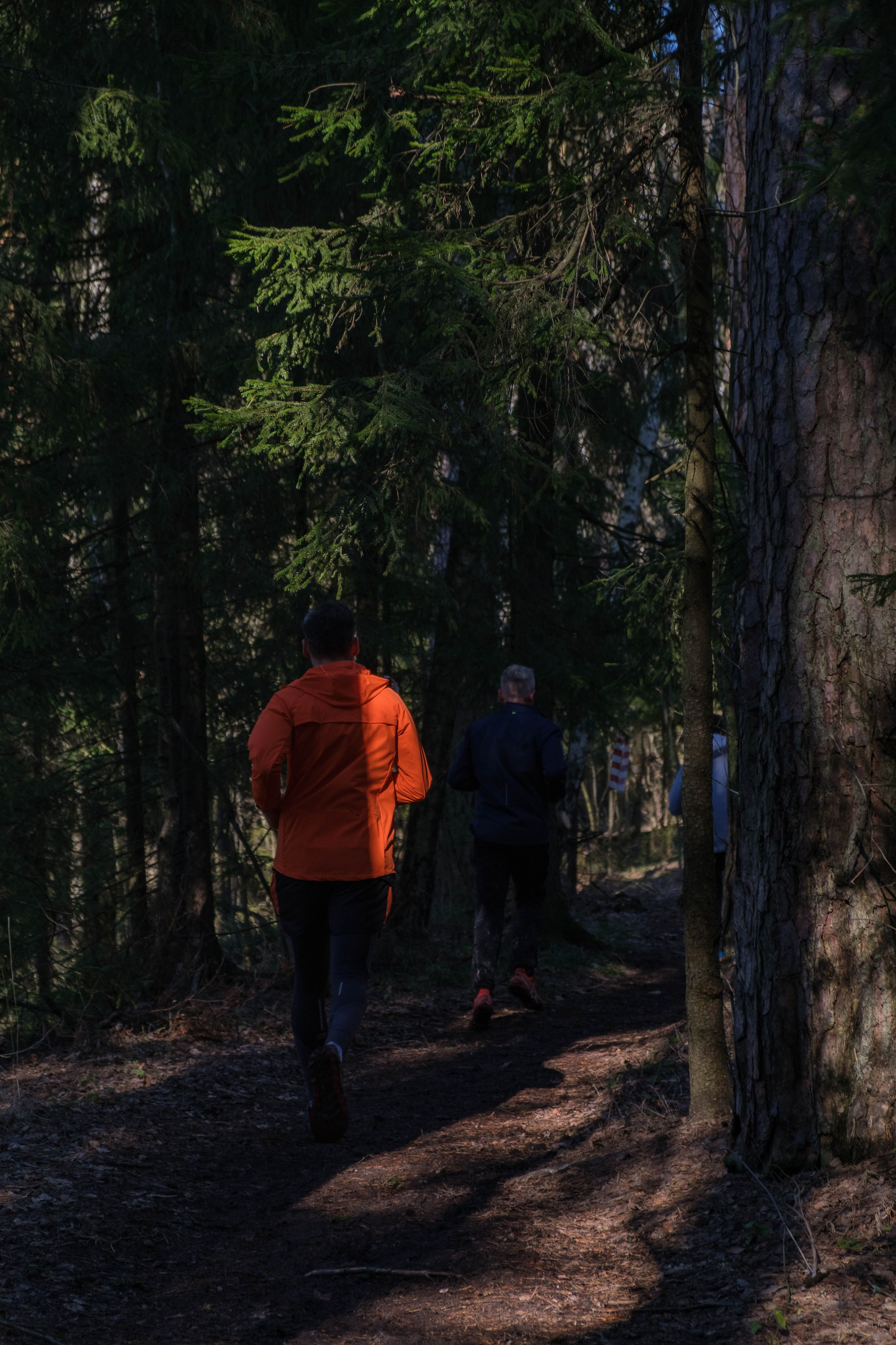 OPEN BAND ЛЁД | 09 марта 2025. Фотограф Диана Иремадзе