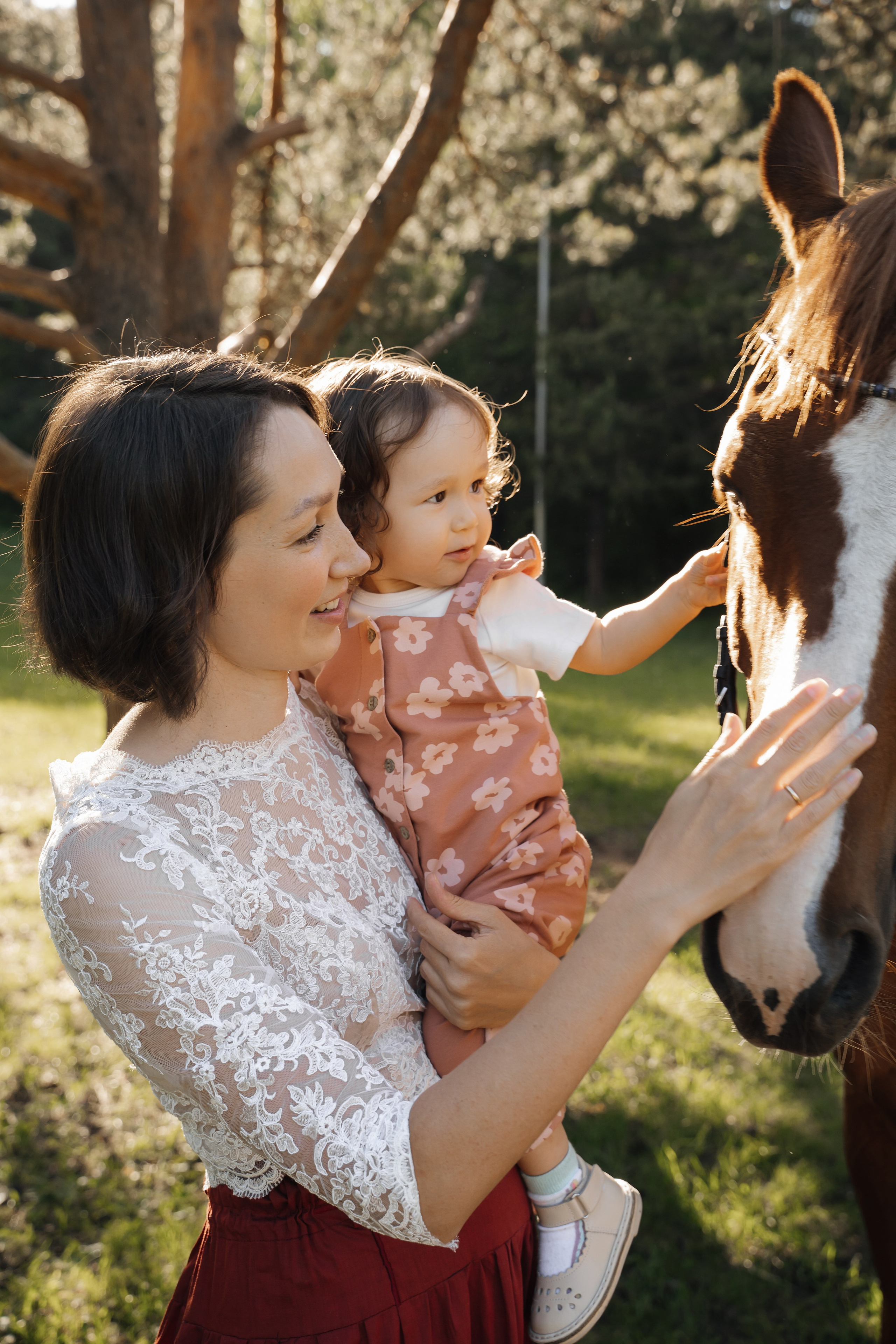 Семейная история с лошадьми. Главная