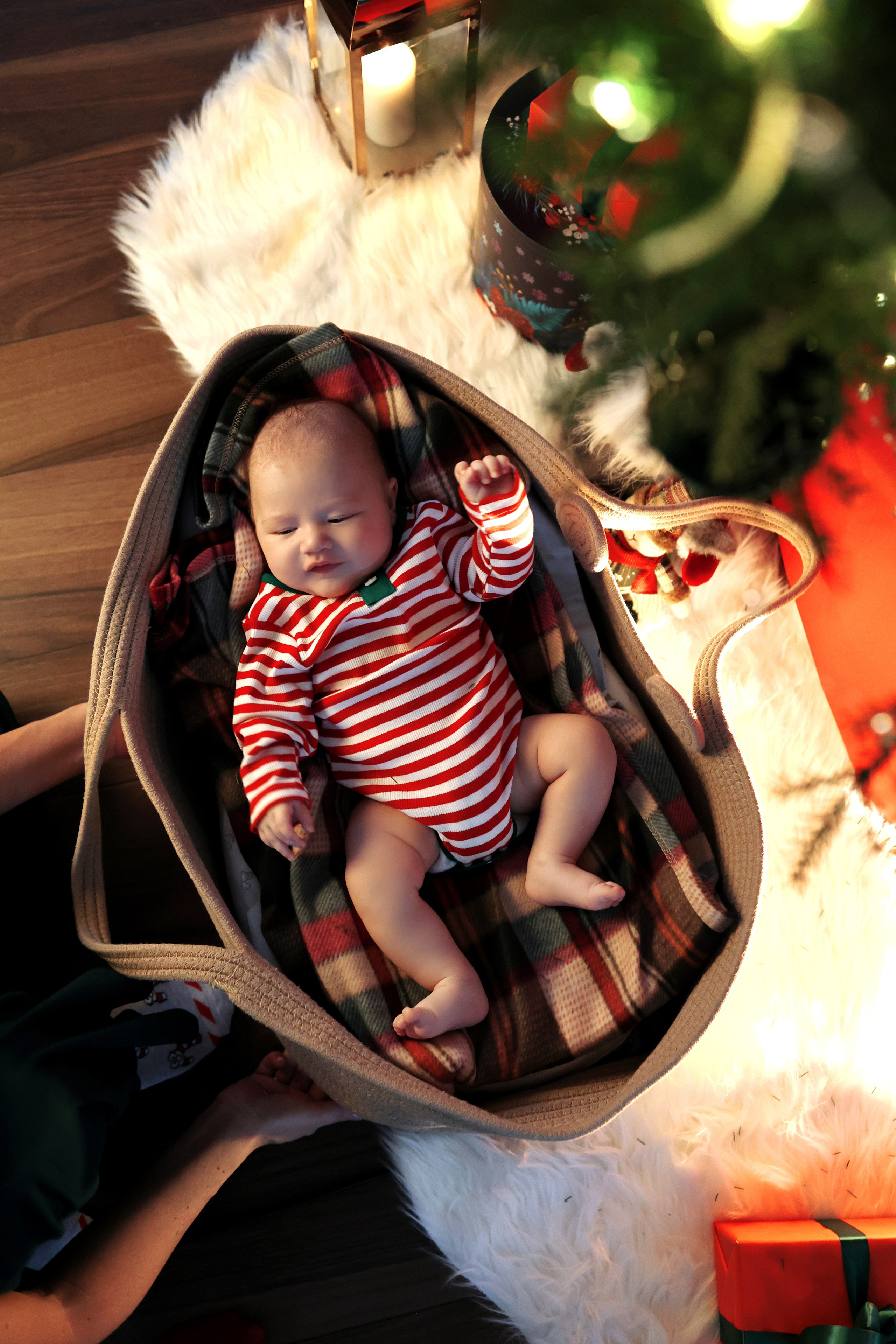 Домашние съемки. Семейный фотограф Москва и область Дербунова Елена