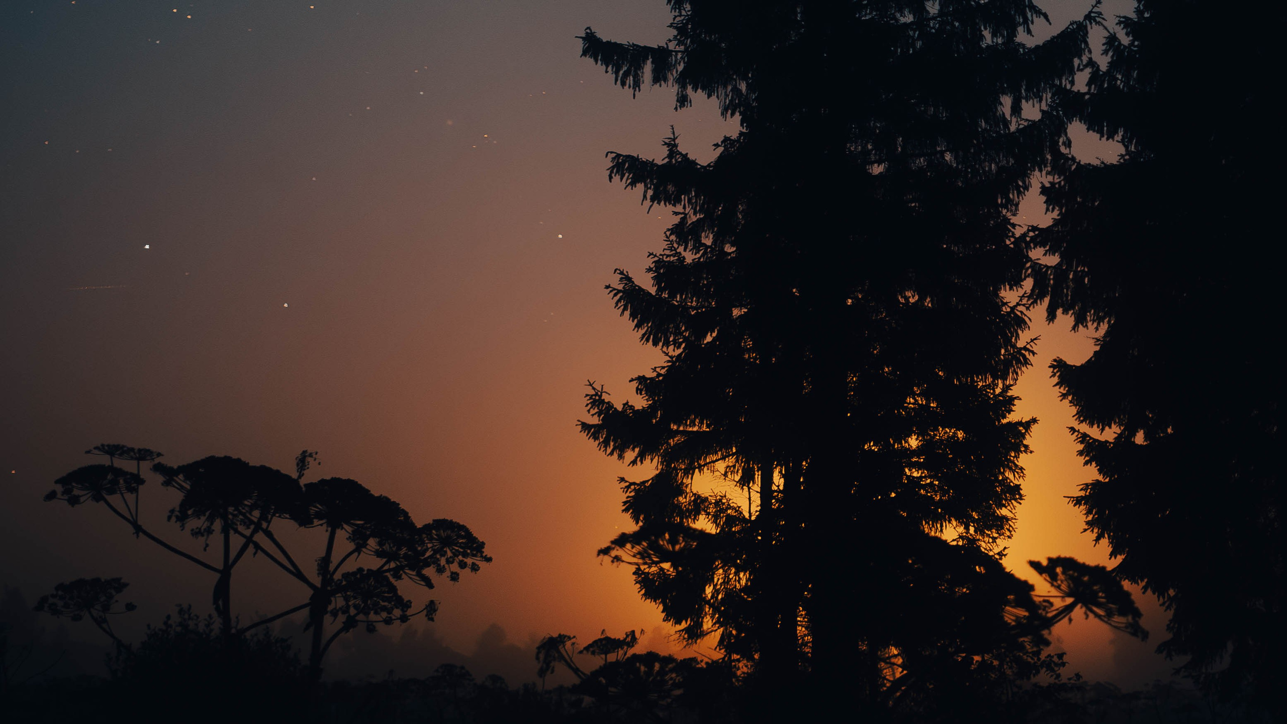 Звёзды. Светофография