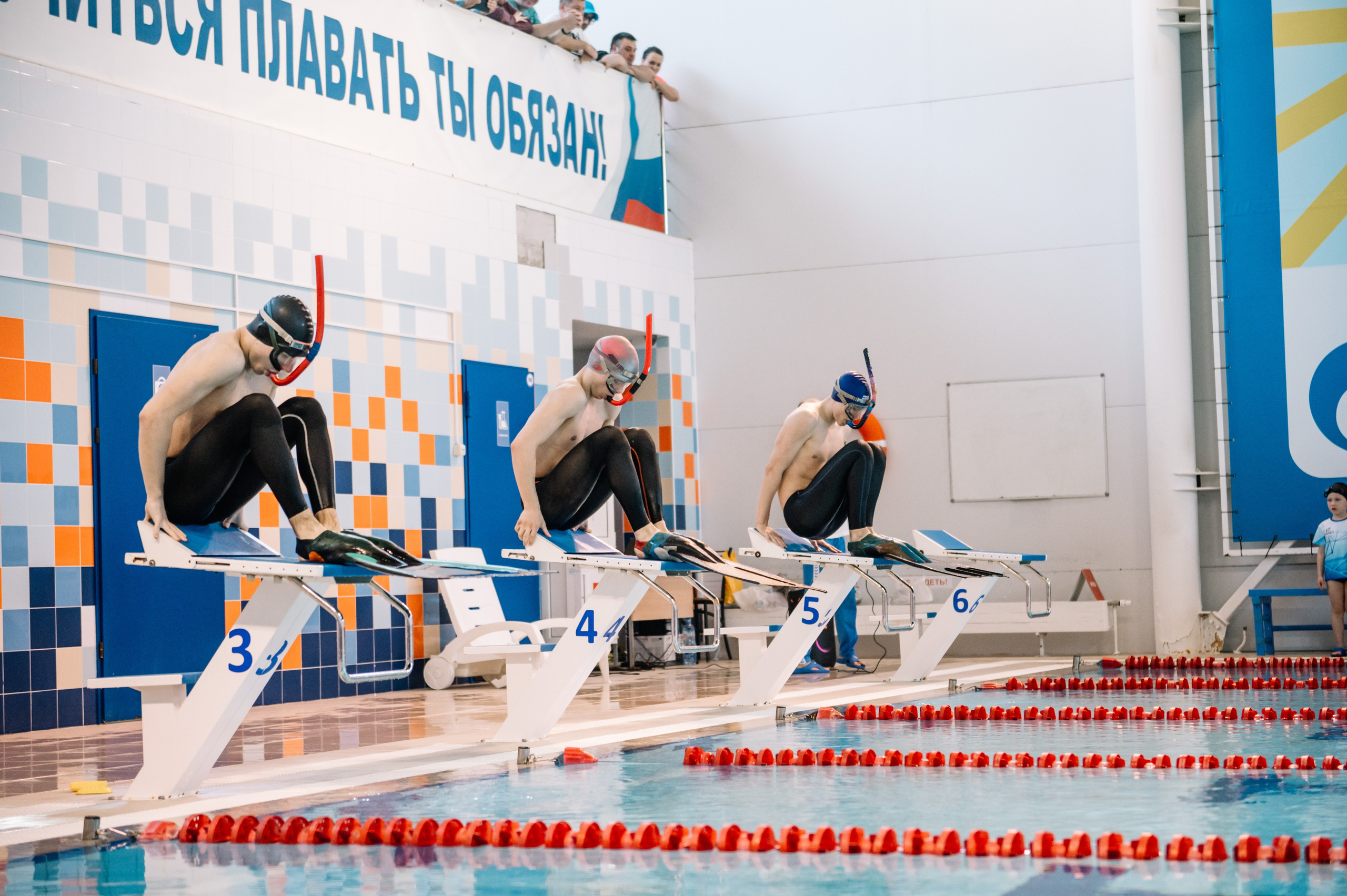Финал кубка плавания ШП Дельфин, май 2024. Спортивный фотограф в Туле и Тульской области. Файсханова Фото Спорт