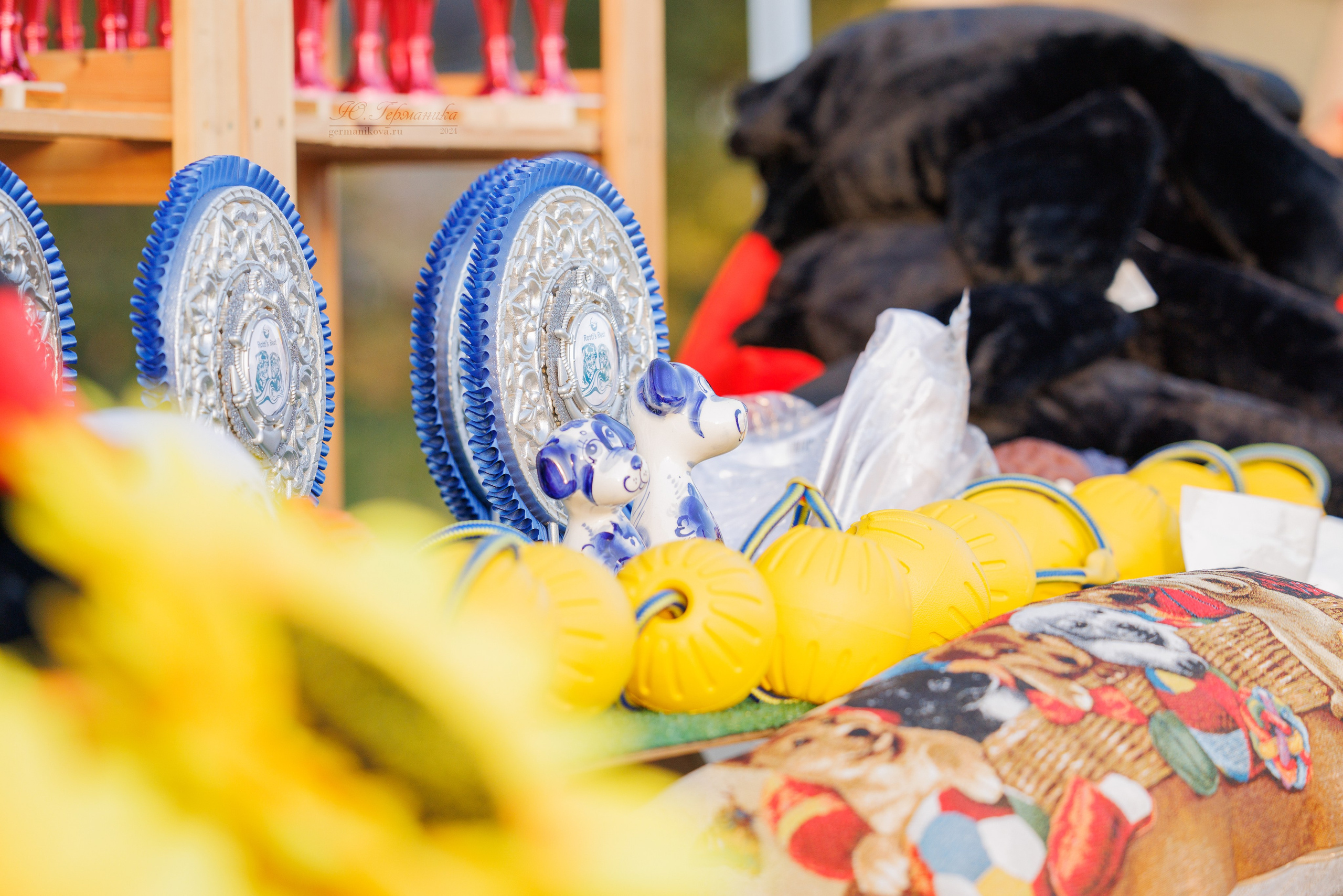 Анапа ротвейлеры 14-15.09.2024. Фотограф-анималист Юлия Германика