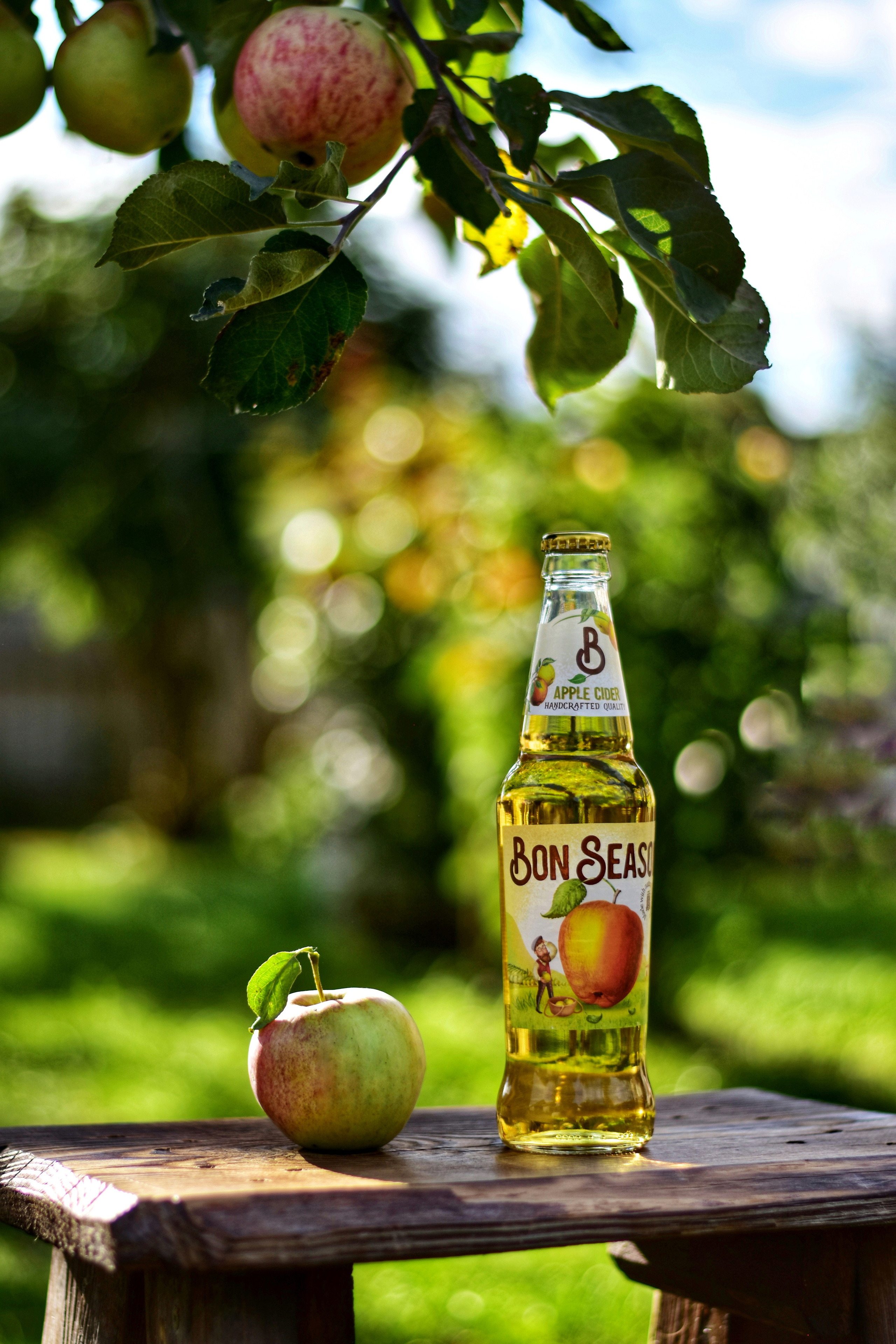 бутылка сидра и яблоко на деревянном столе в саду