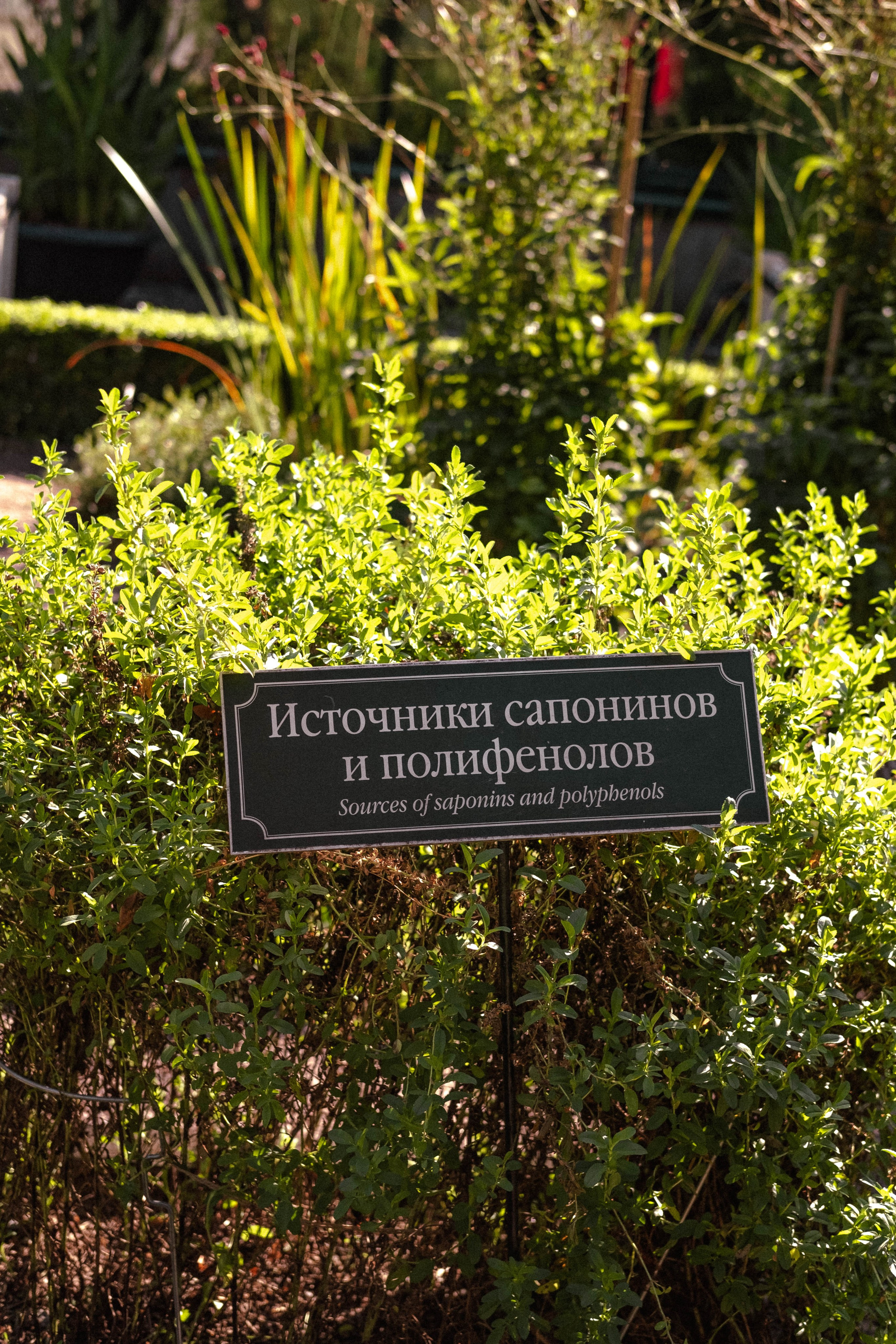 Москва 2024. Свадебный и семейный фотограф в Новосибирске, Санкт-Петербурге, Москве