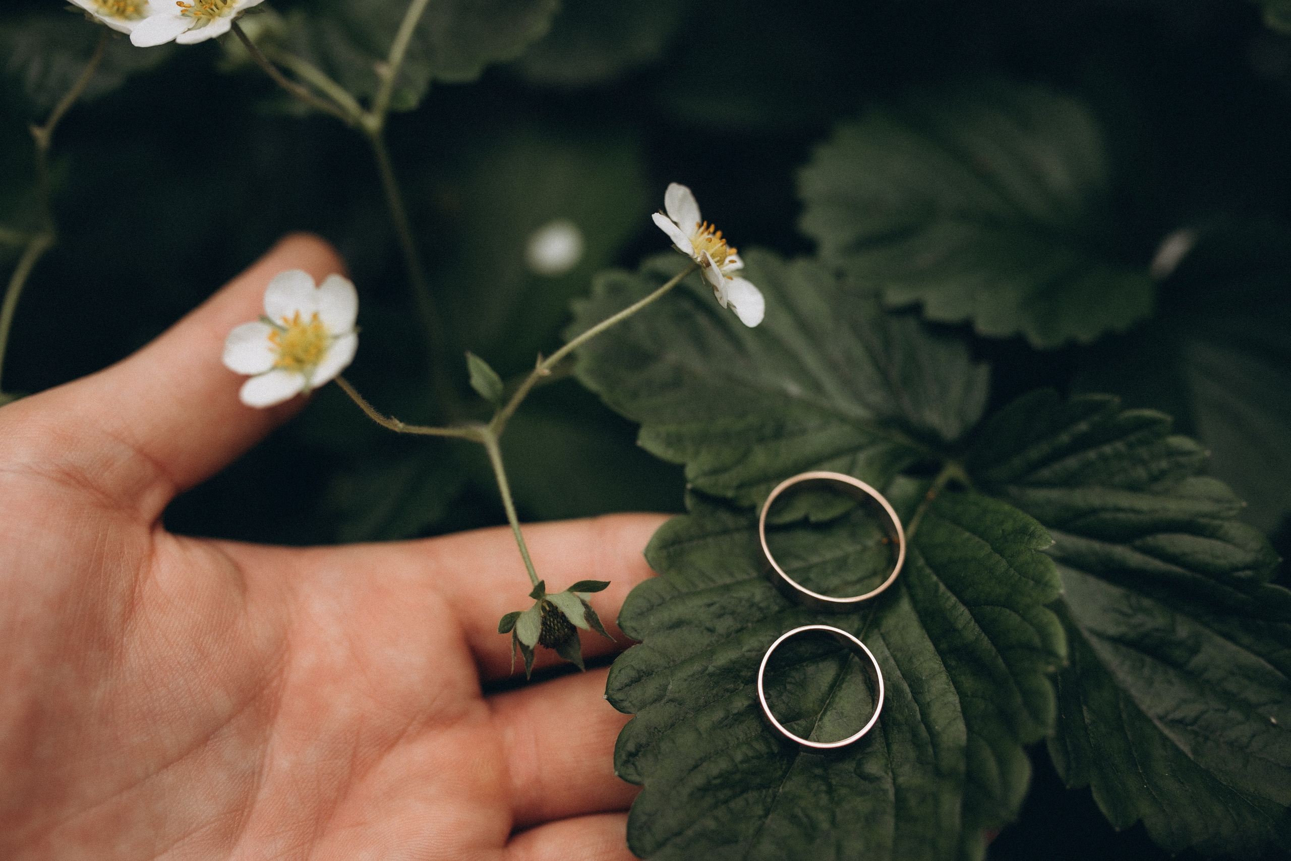 Любовь с нами. Семейный и свадебный фотограф Анна Кожокарь