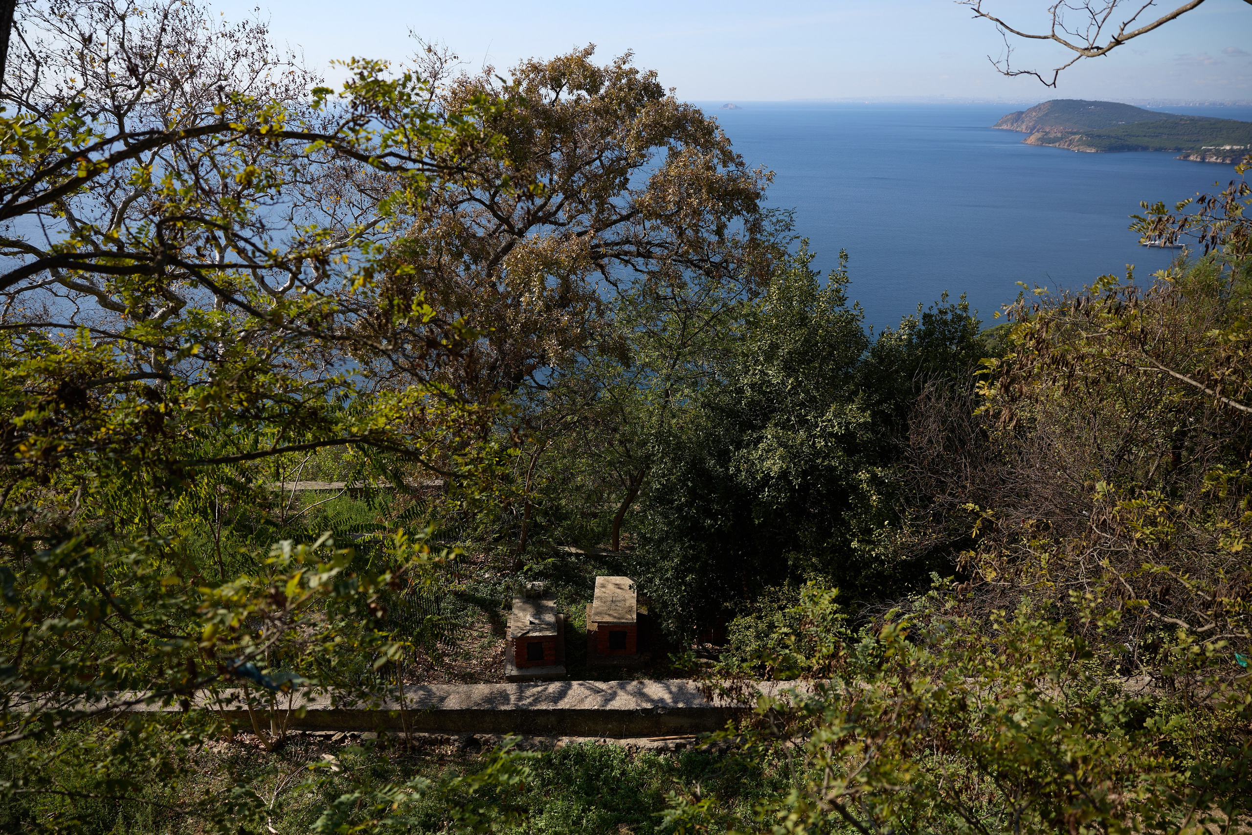 Стамбул 24. Фотограф Москва, Дима Пеллер
