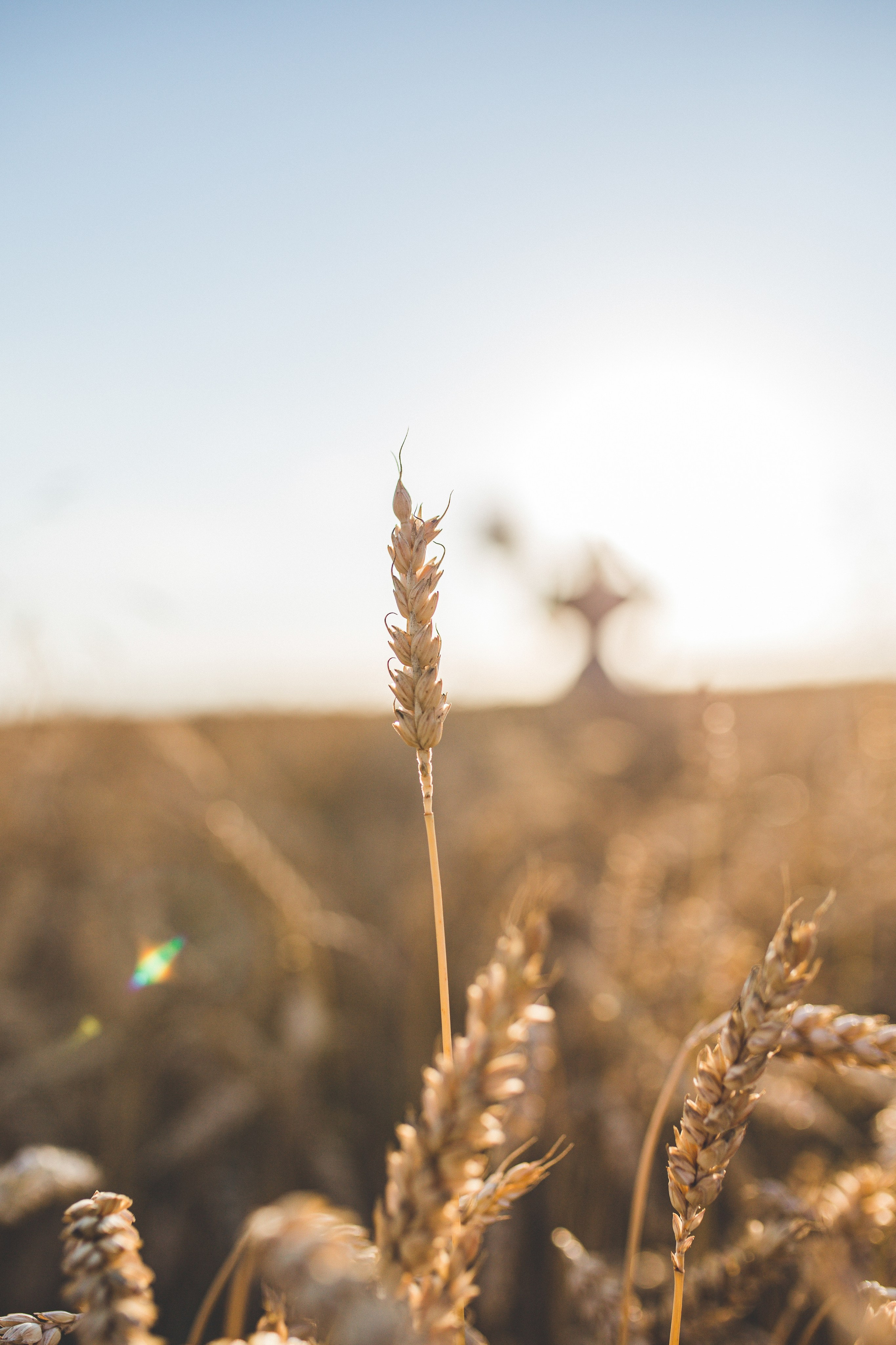Летняя прогулка с Ксенией