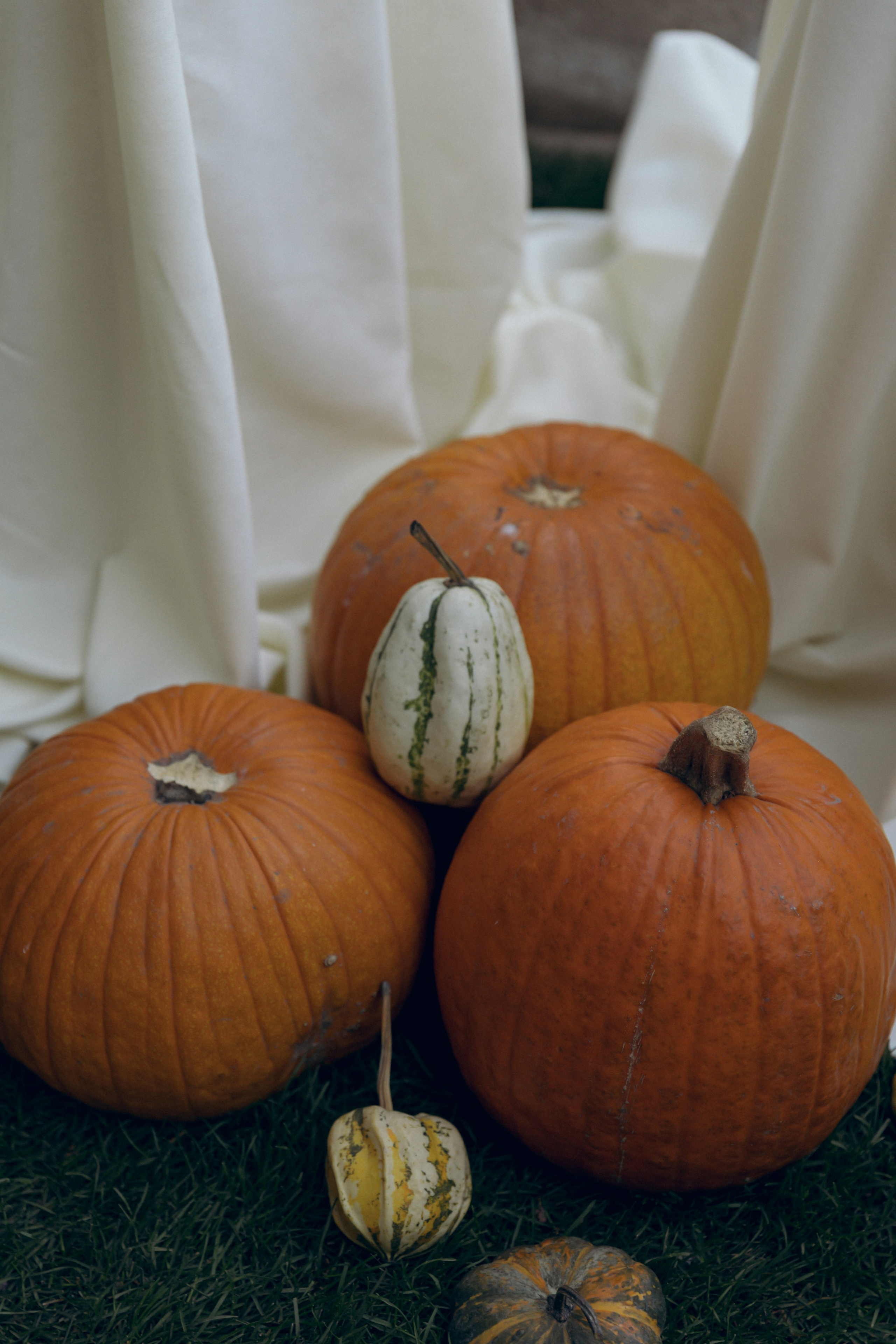 Николай и Юлия, 26 октября 2024. Свадебный  и семейный фотограф в Краснодаре