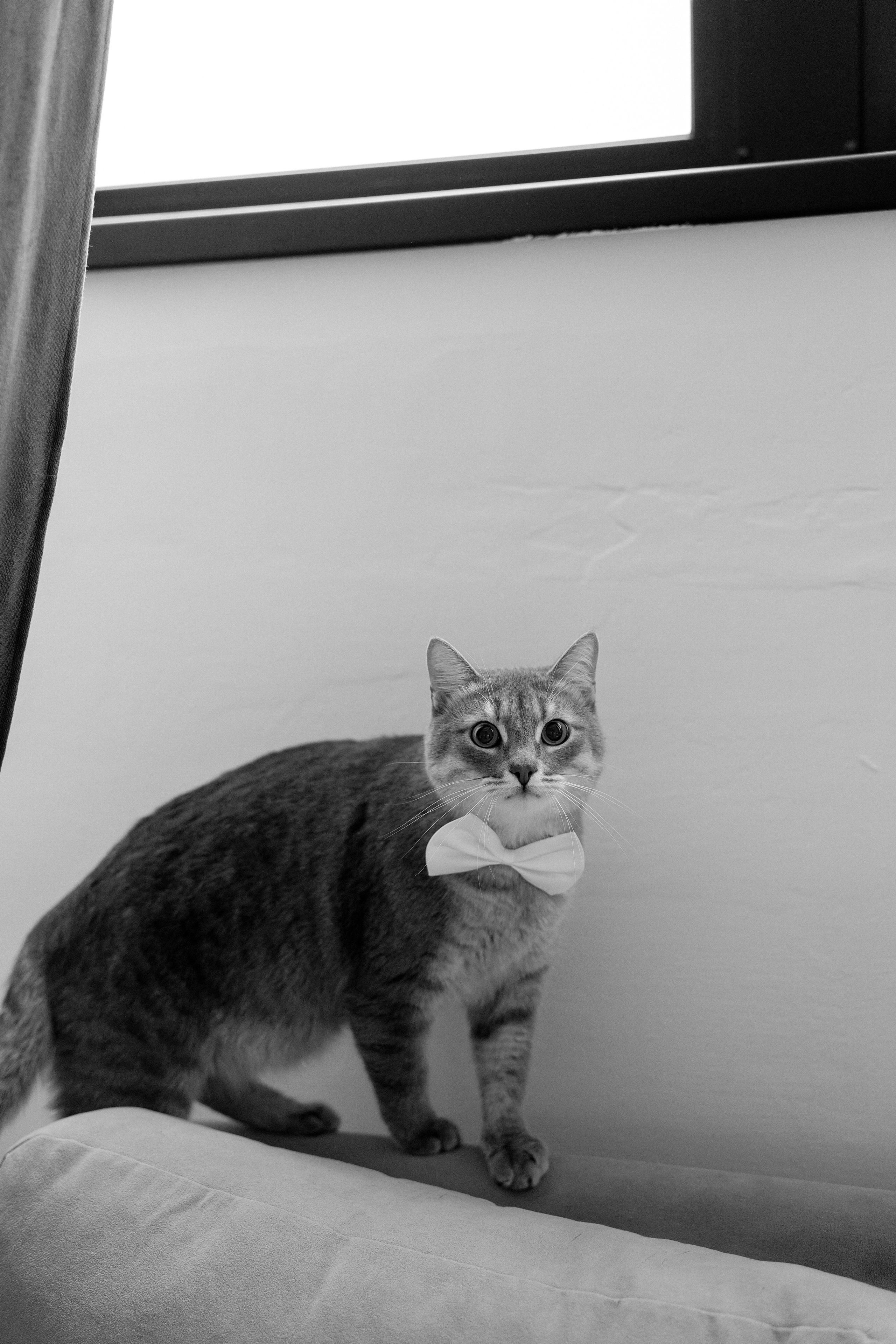 DomStudios. Свадебный фотограф Нижний Новгород