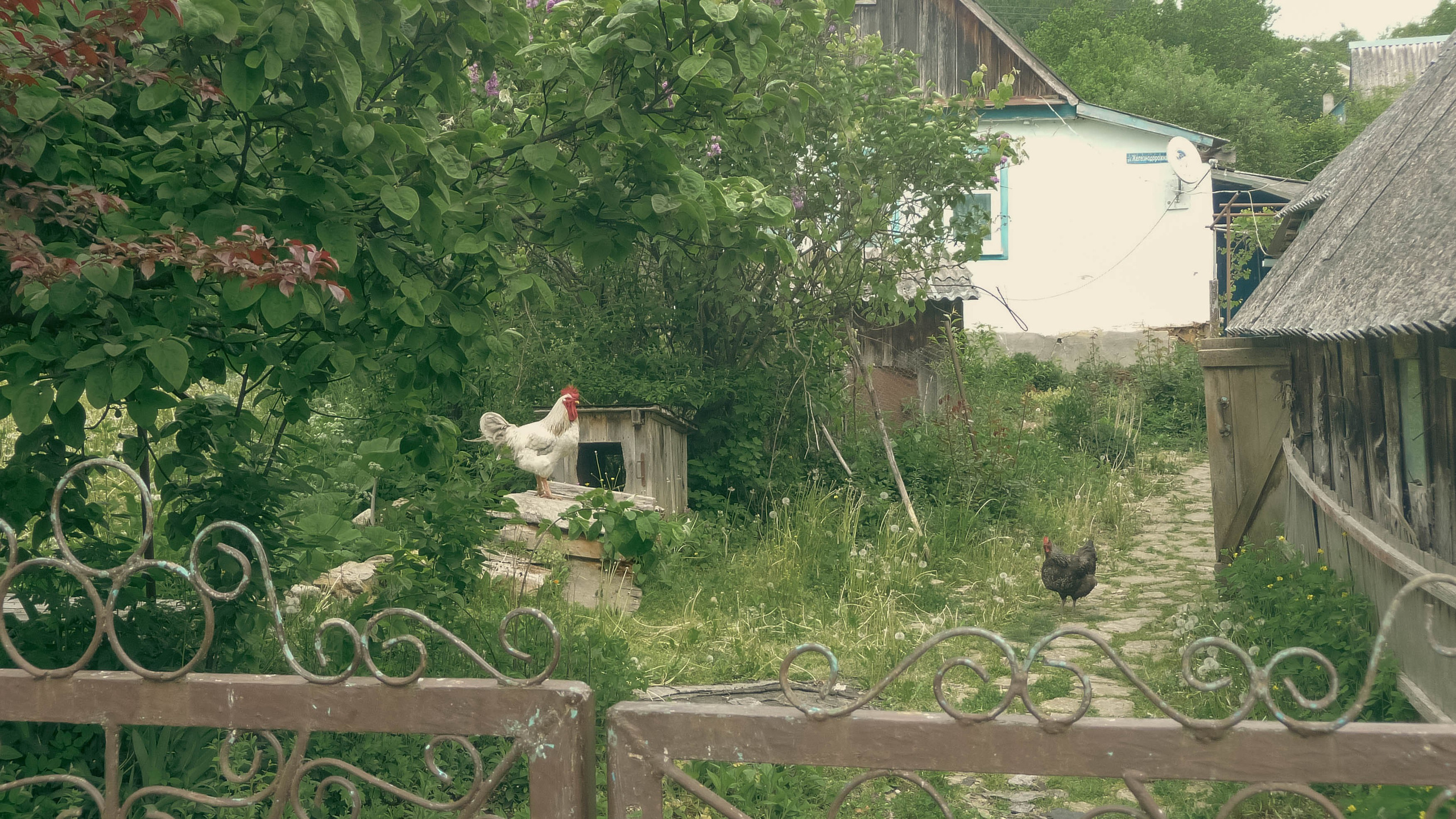 Майская Кубань. Фотограф Анастасия Лощакова в Москве