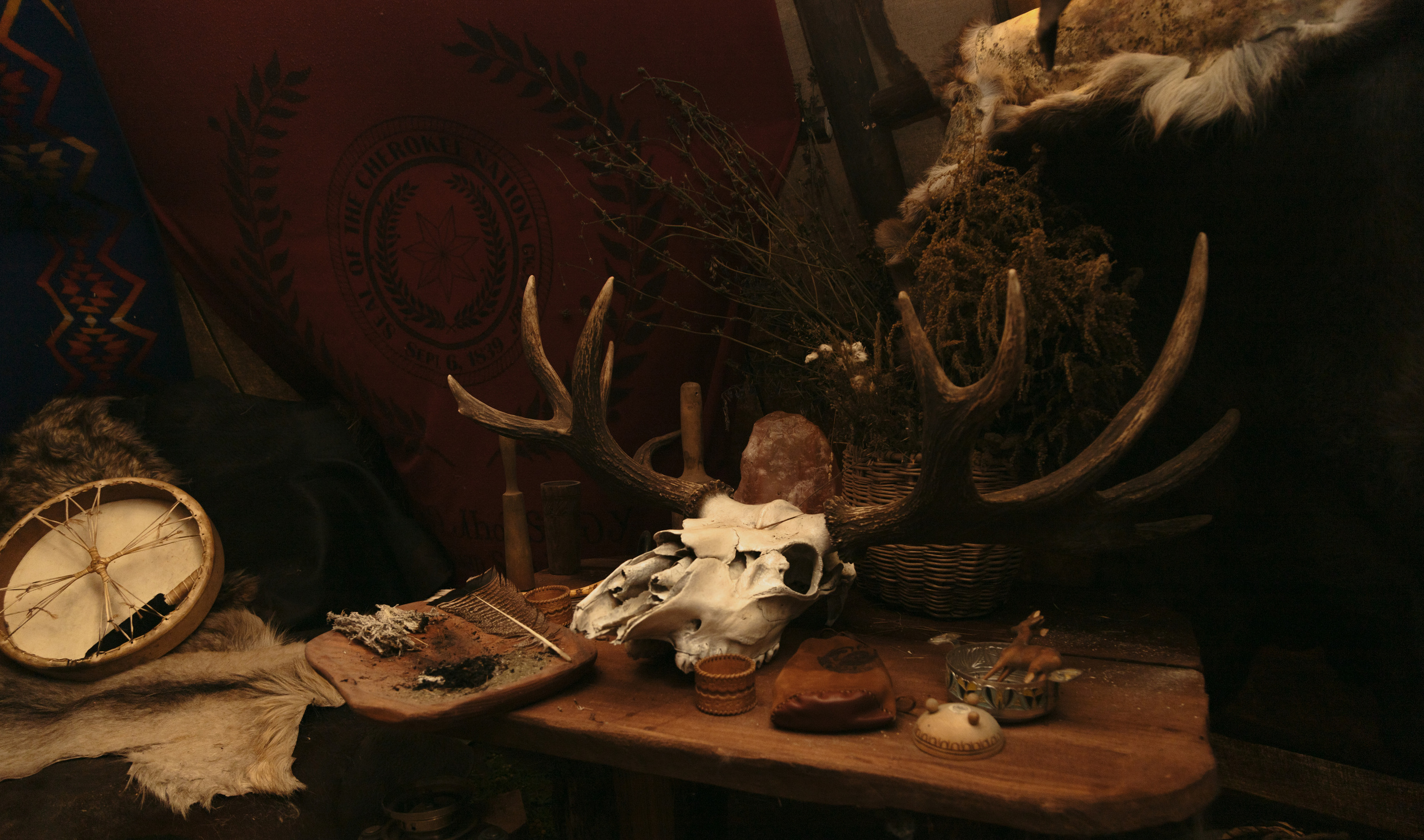 День рождения в хаски-центре «Белый ветер». Семейный и свадебный фотограф в Петербурге Евгения и Николай Шевчук