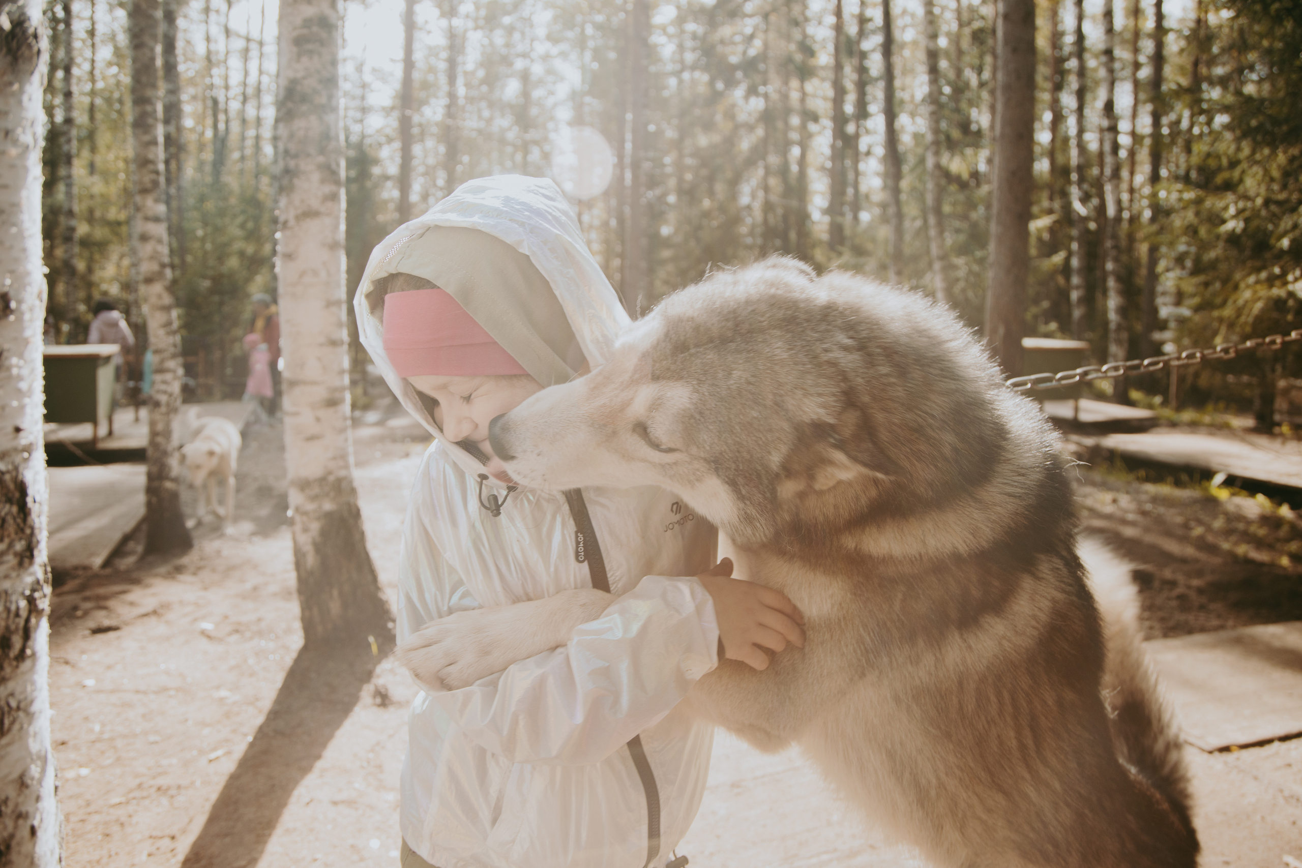 День рождения в хаски-центре «Белый ветер». Семейный и свадебный фотограф в Петербурге Евгения и Николай Шевчук