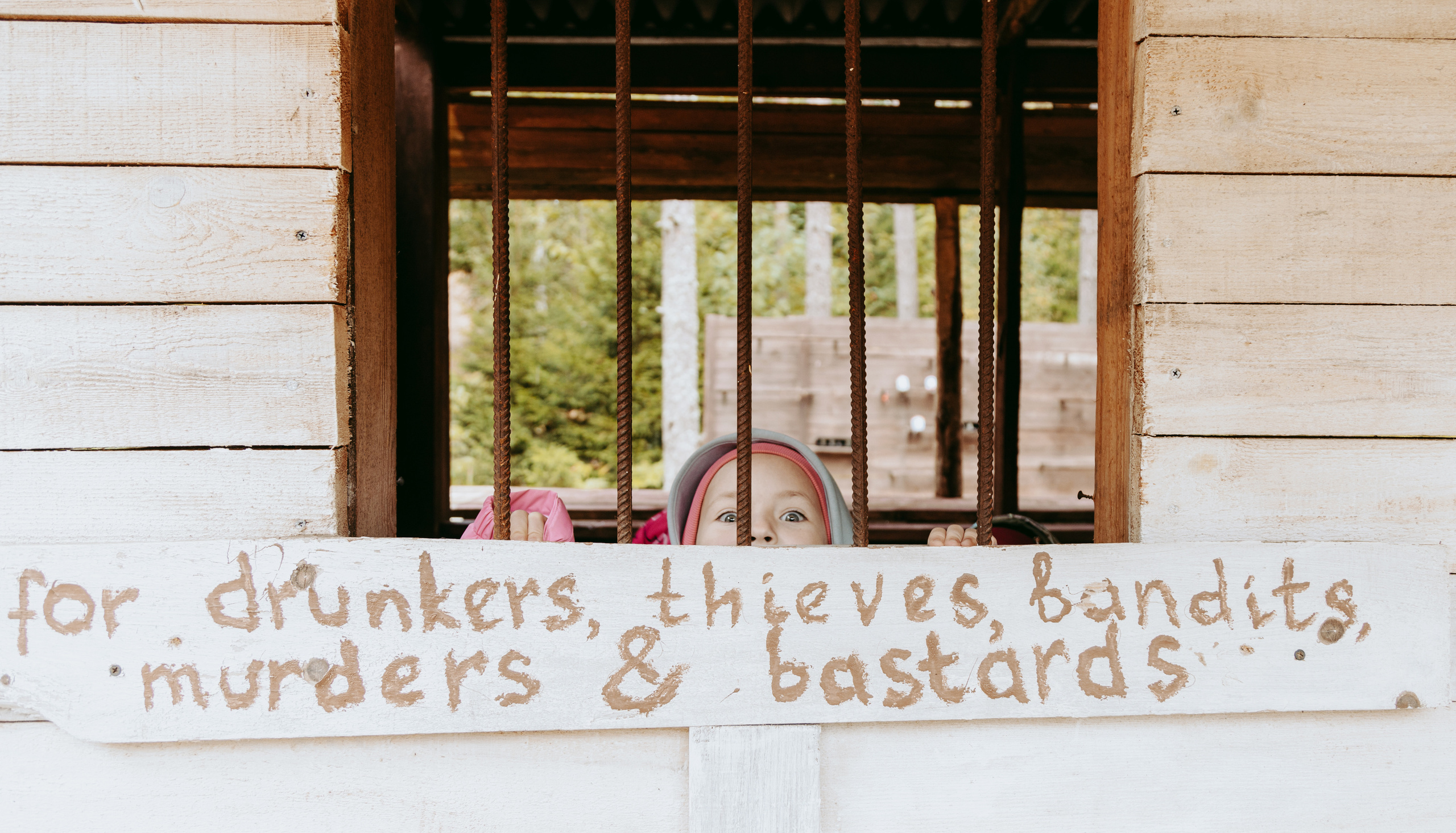 День рождения в хаски-центре «Белый ветер». Семейный и свадебный фотограф в Петербурге Евгения и Николай Шевчук