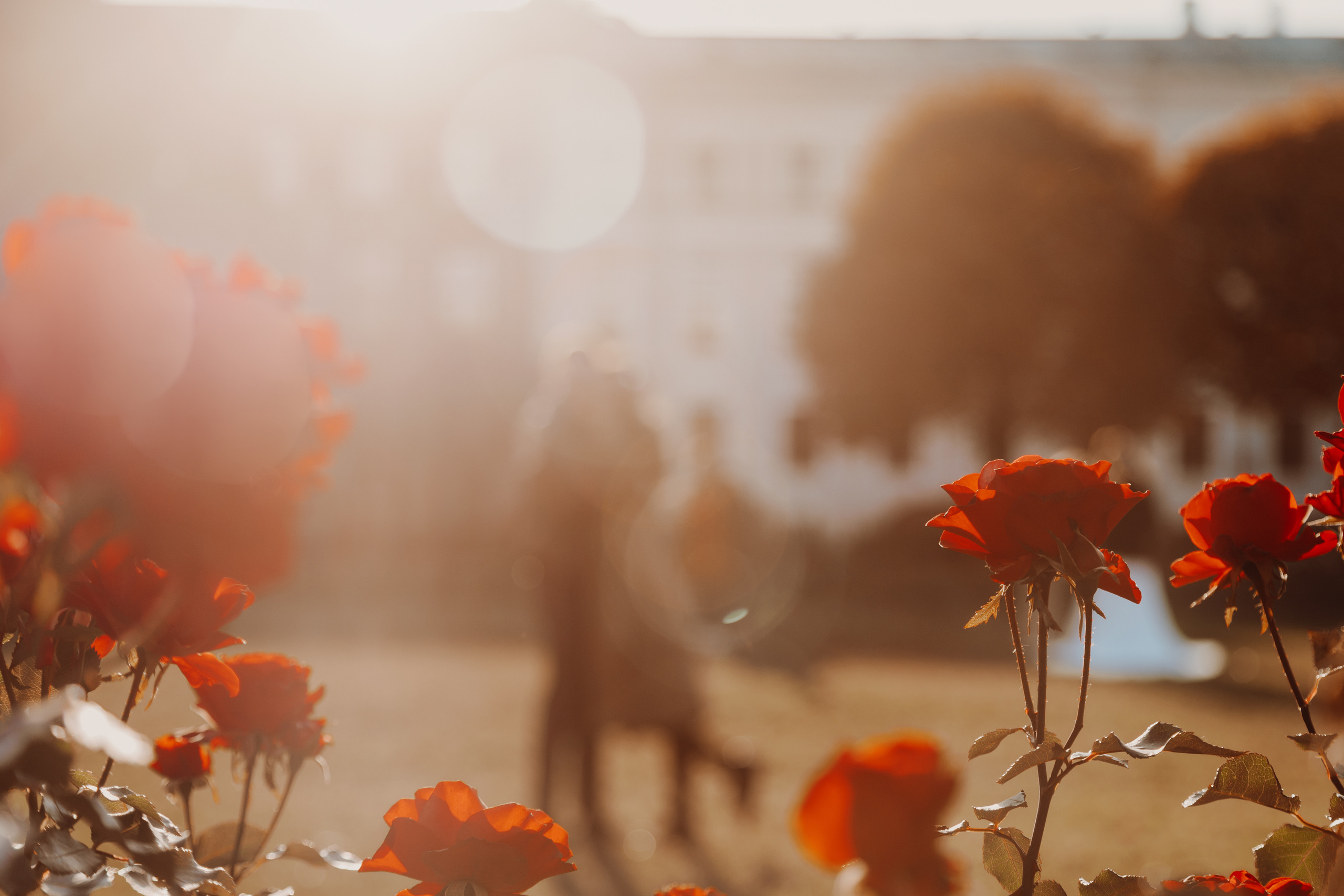 ДАНЯ И ЛИЛЯ. Семейный и свадебный фотограф в Петербурге Евгения и Николай Шевчук