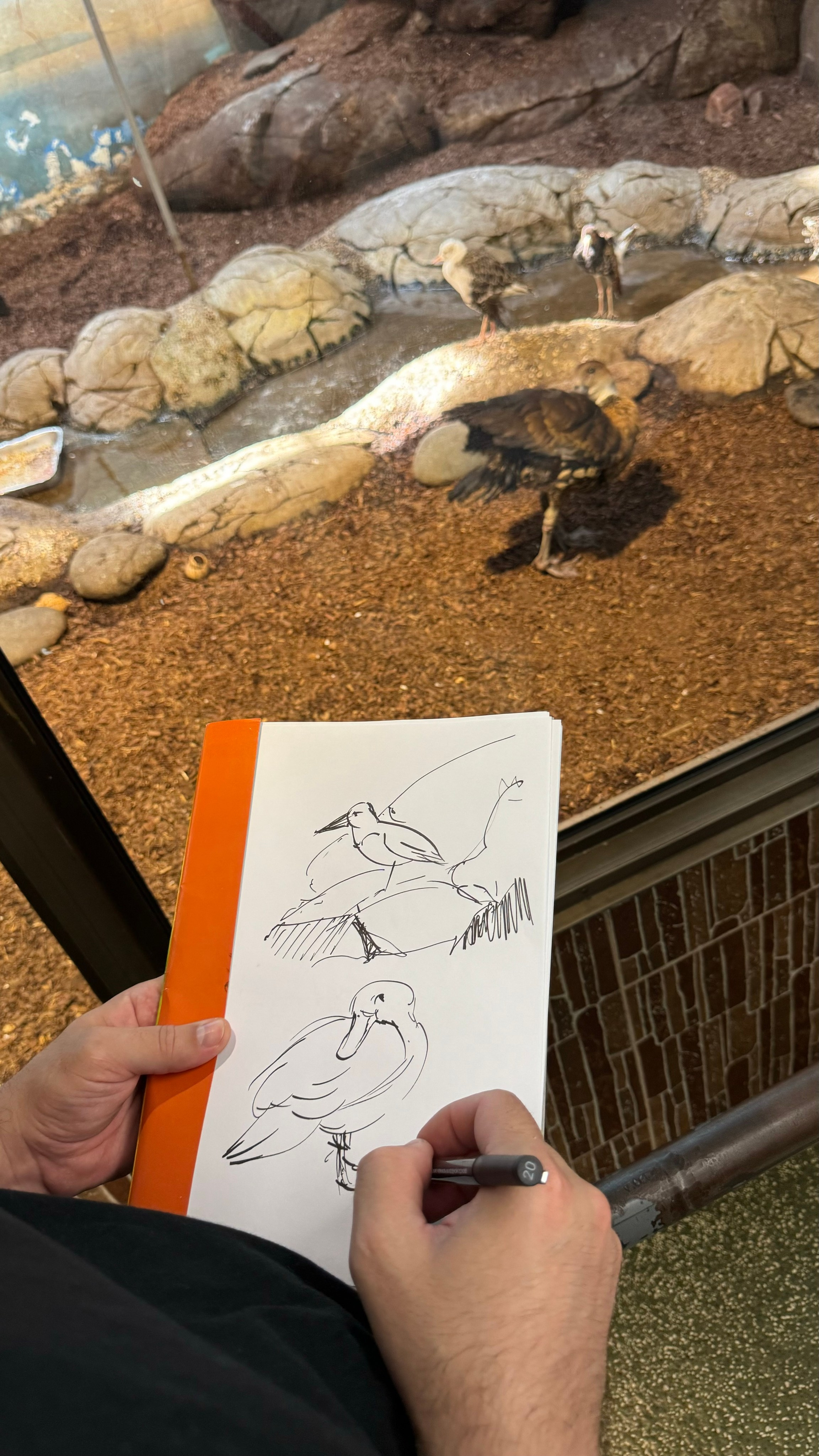 Приглашаем в арт-лагерь в Москве для детей!. Арт-вечеринки и мастер-классы в Москве для взрослых и детей