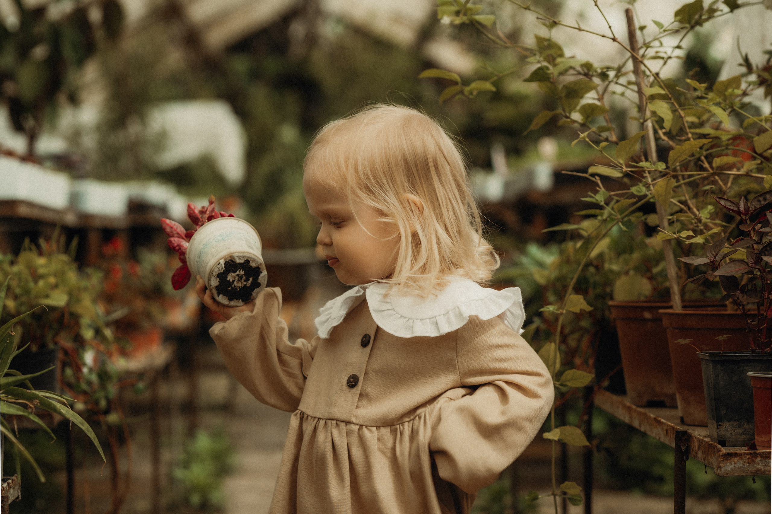 Райский сад. Семейный и свадебный фотограф в Самаре