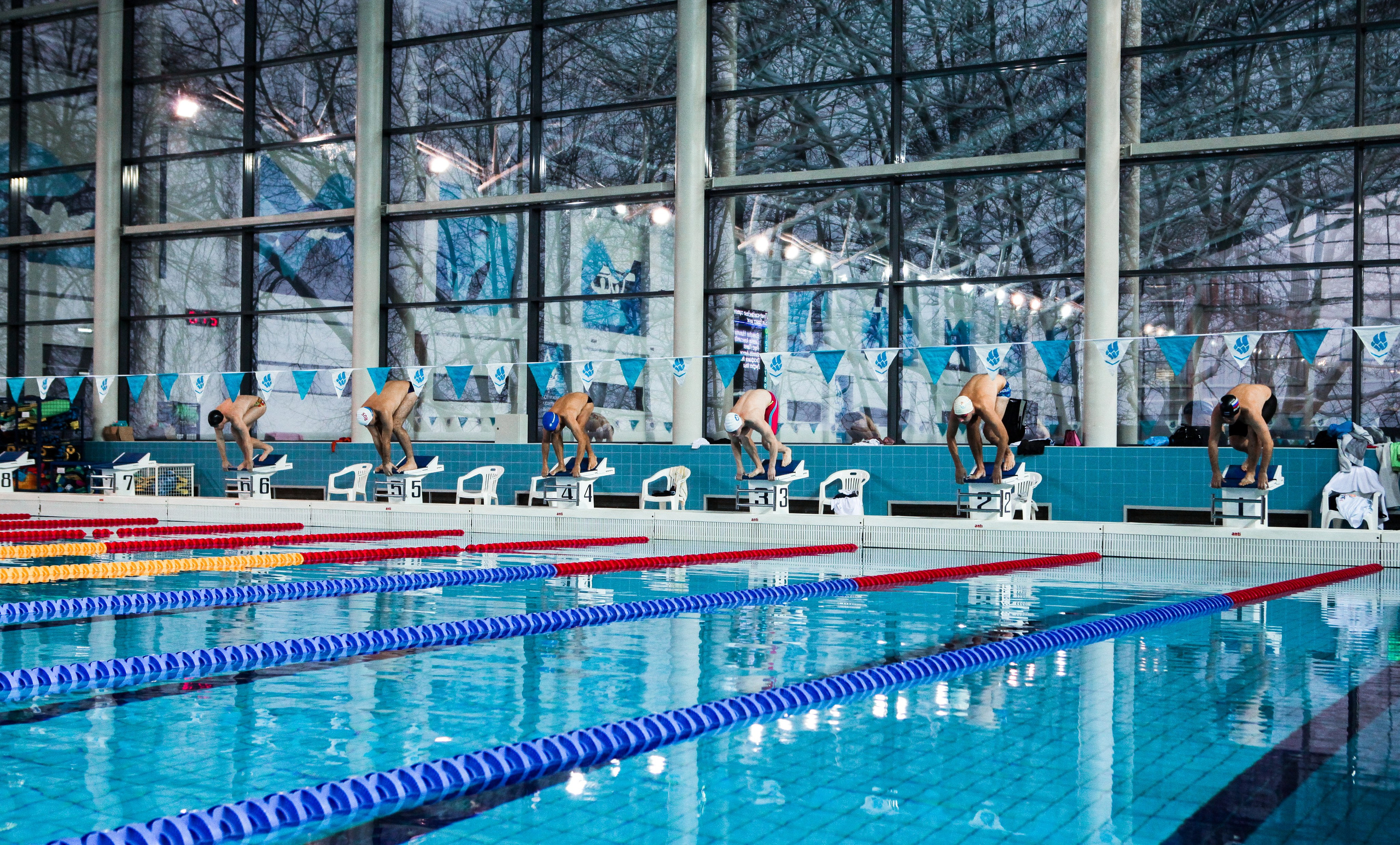 Соревнования по плаванию. Репортажный, семейный, свадебный, портретный фотограф