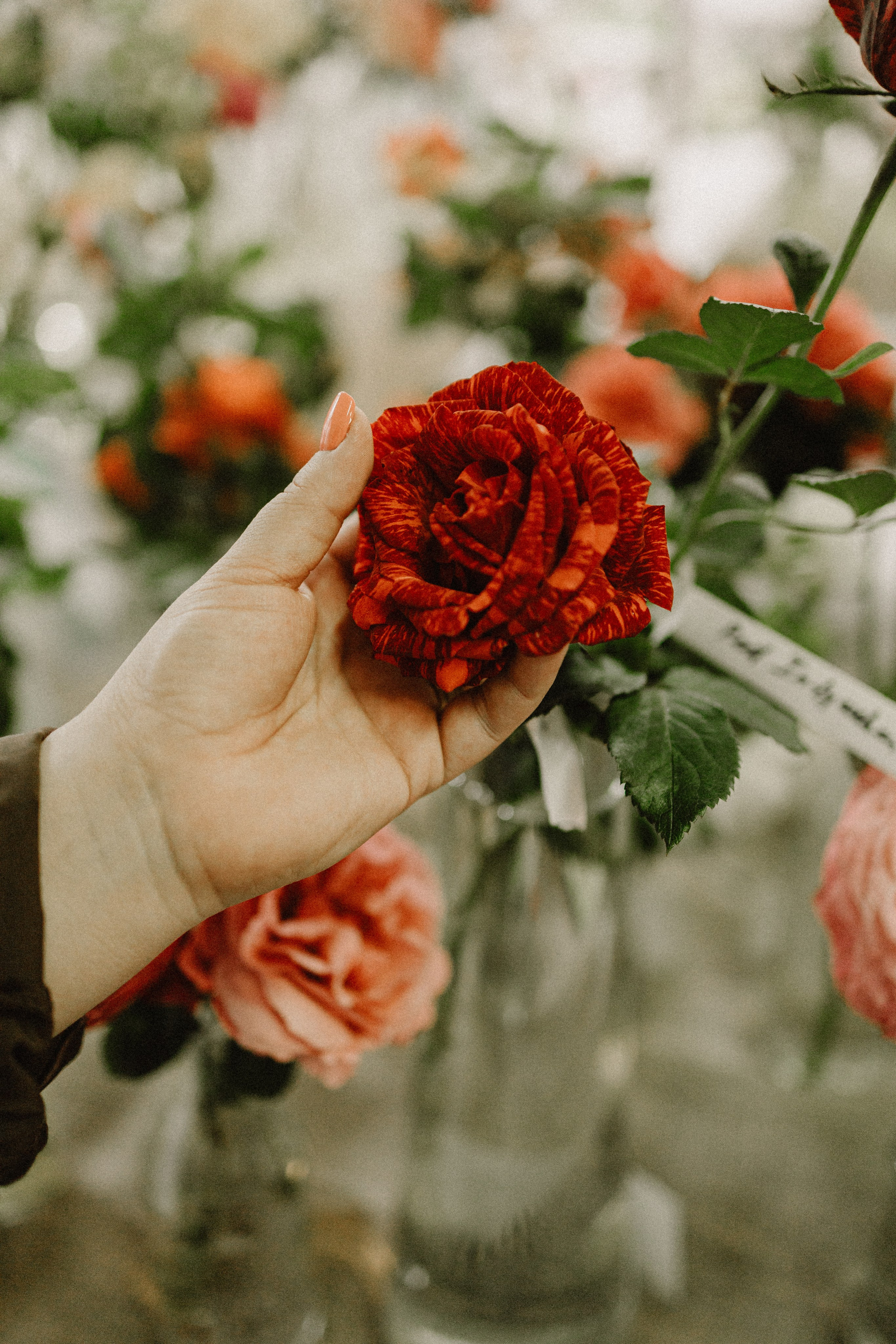 Ирина фотопрогулка Москва аптекарский огород. Портретный и семейный фотограф в Саратове Елена Шустова