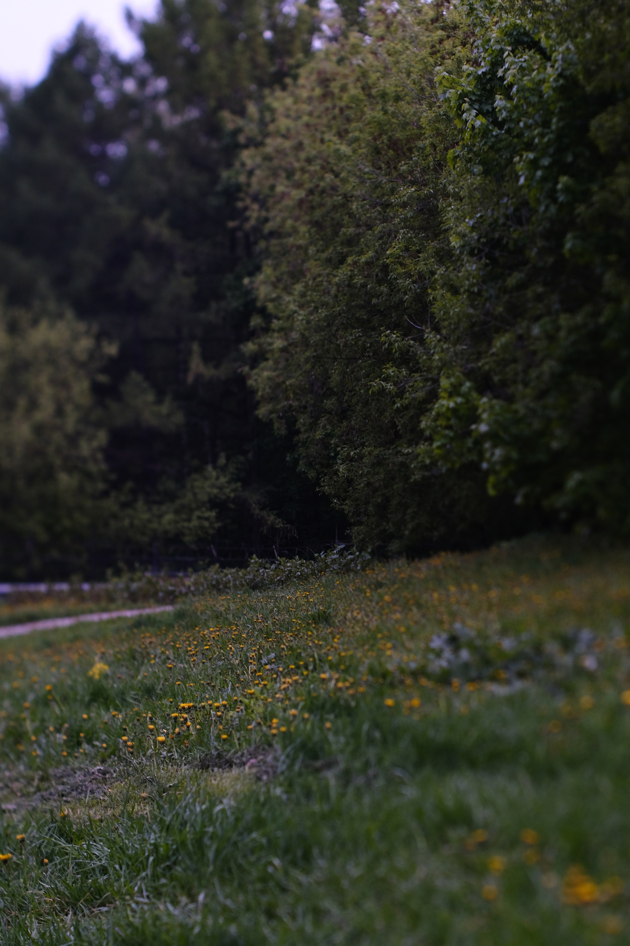 Художественные фото. Креативный фотограф в Москве Арапова Виталия