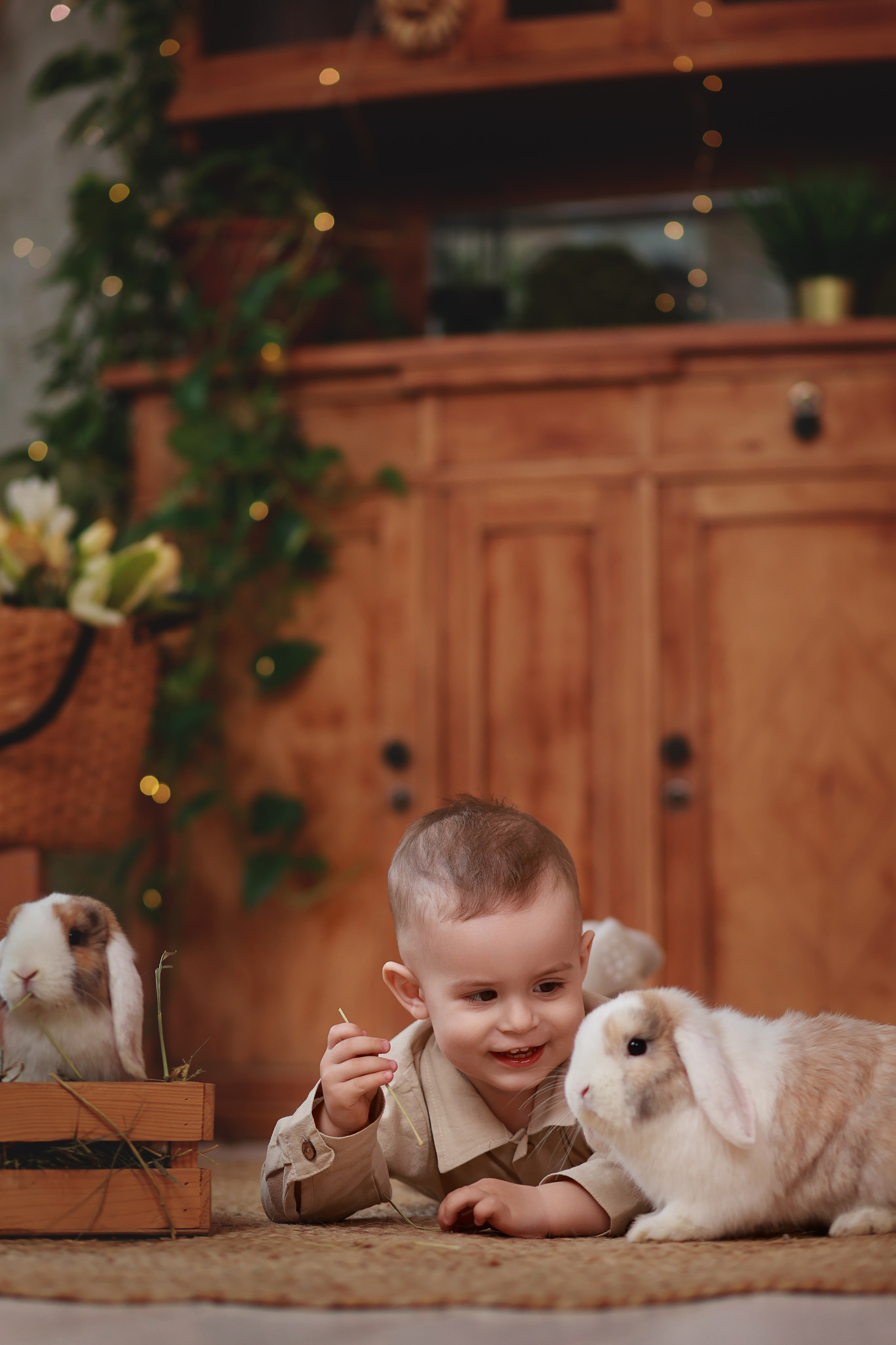 Фотопроект с козочкой и кроликами. Детский семейный фотограф Краснодар