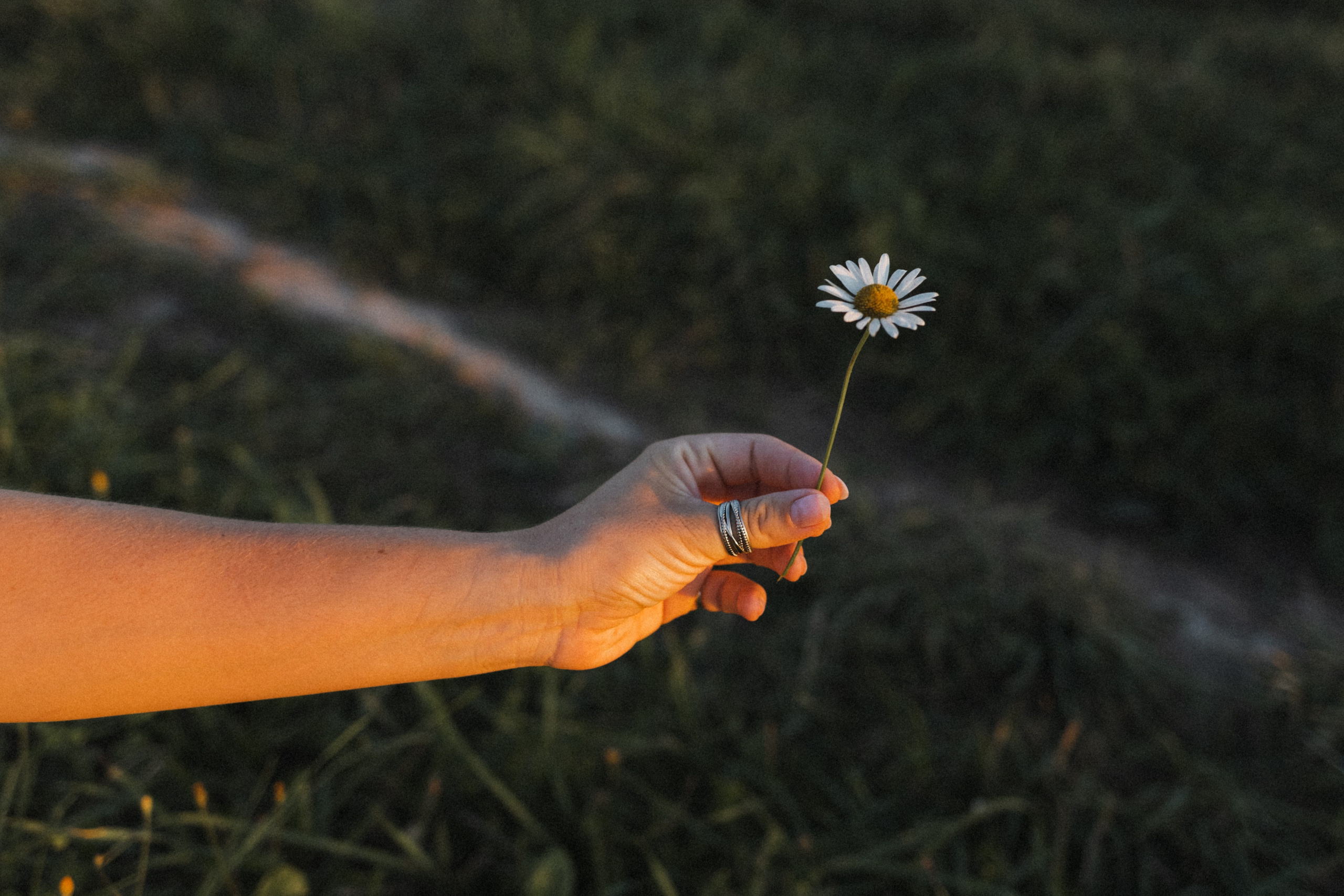 Паша, Настя и Даня. Семейный фотограф в Москве