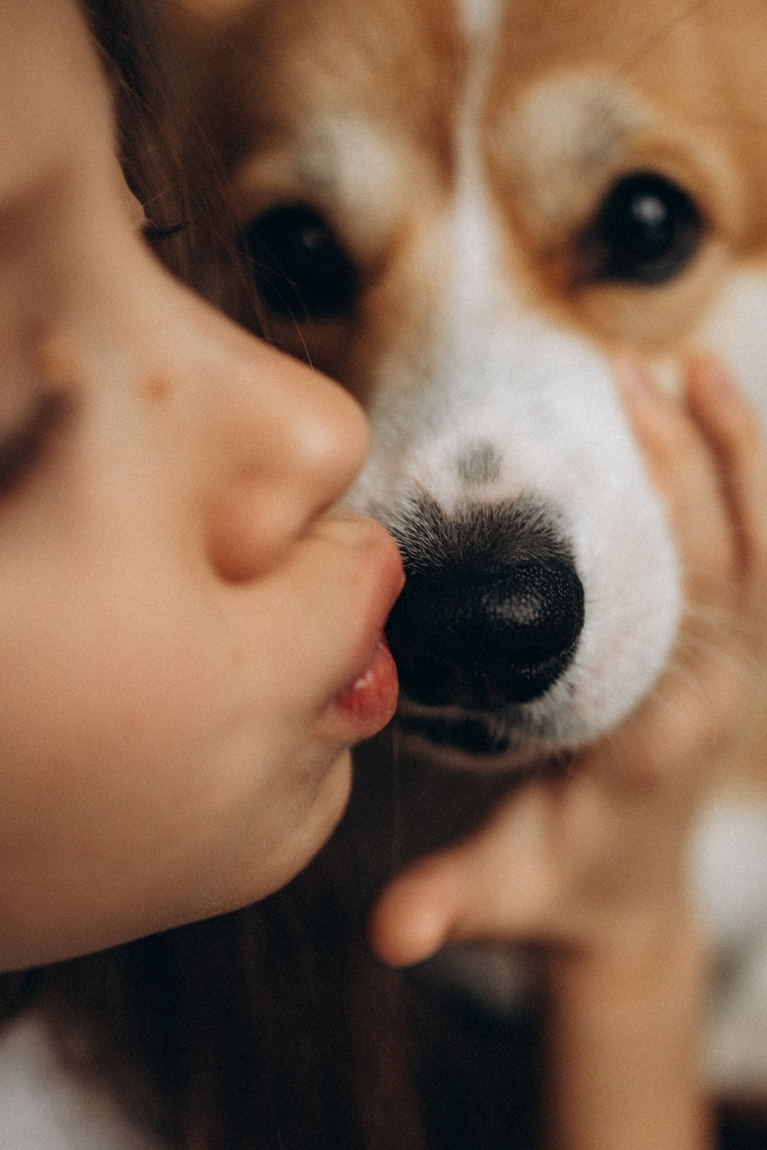 Зевс и его семья. Фотораф — анималист Мария Шистка