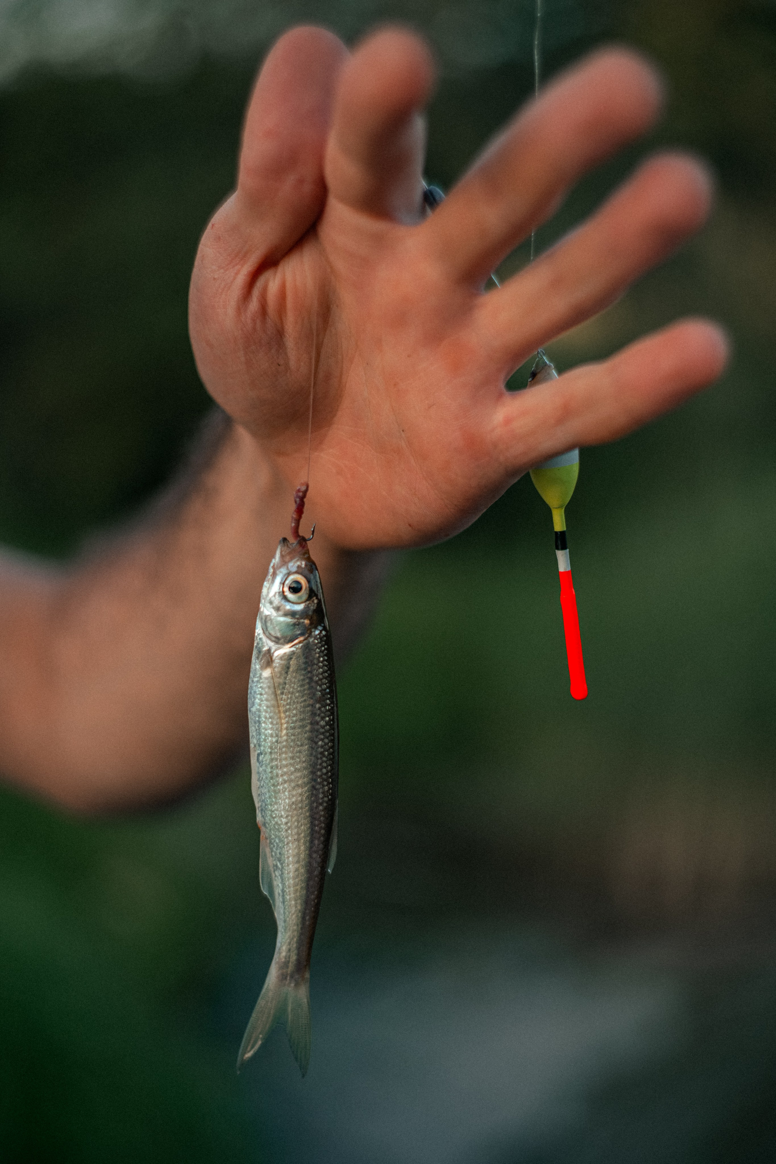 Карелия — место силы. Юля Дэй • Фотограф, Санкт-Петербург