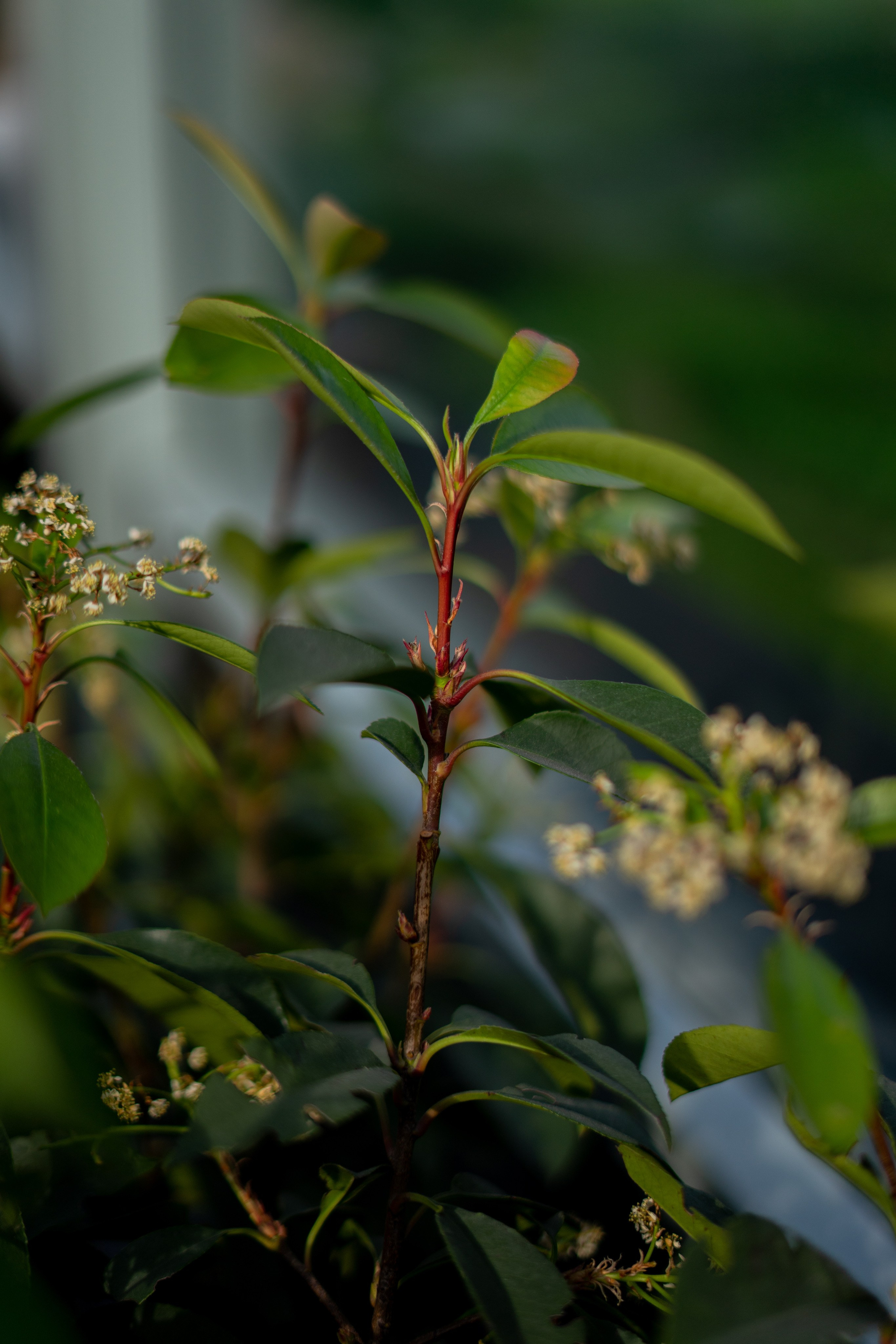 Master class from a florist. Портретный и семейный фотограф в Мариуполе, РФ. Даша Жогло