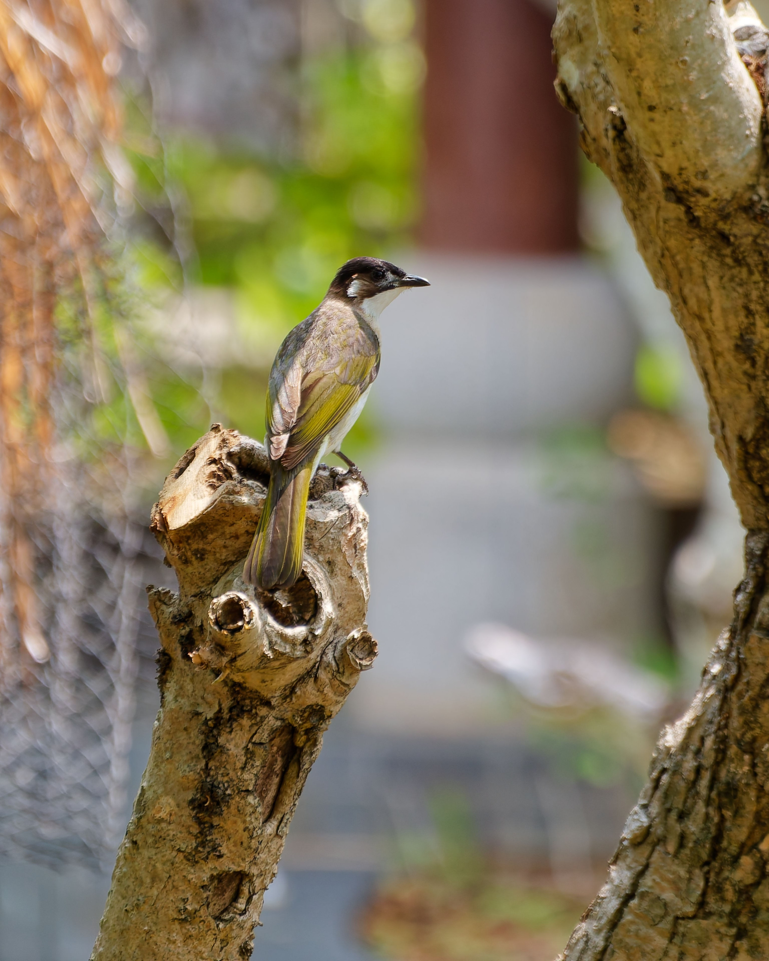 Хайнань 2026, отель «Stony Brook Villa Jianguo Resort Sanya 4*». Фотопрогулки по Миру
