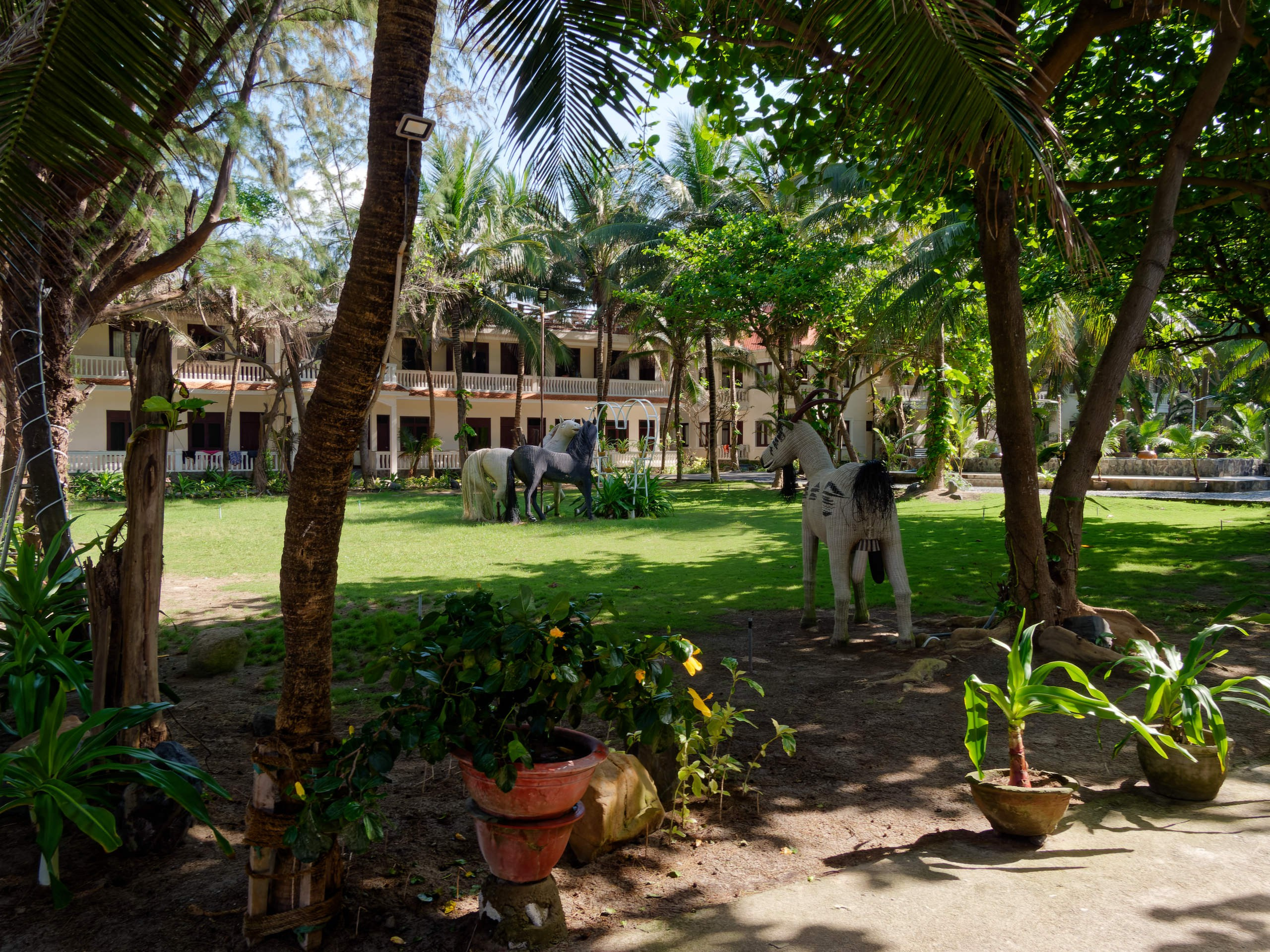 Нячанг 2025 (6). Избранные фотографии