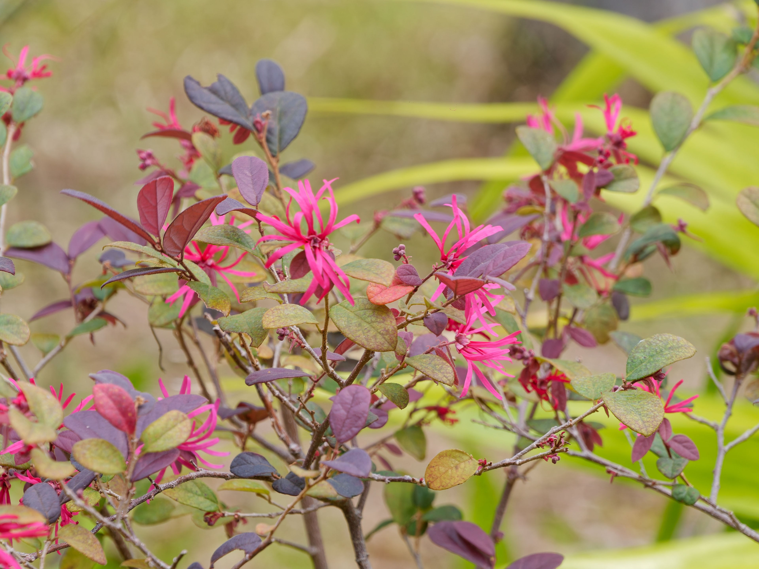 Хайнань 2026, отель «Stony Brook Villa Jianguo Resort Sanya 4*». Фотопрогулки по Миру
