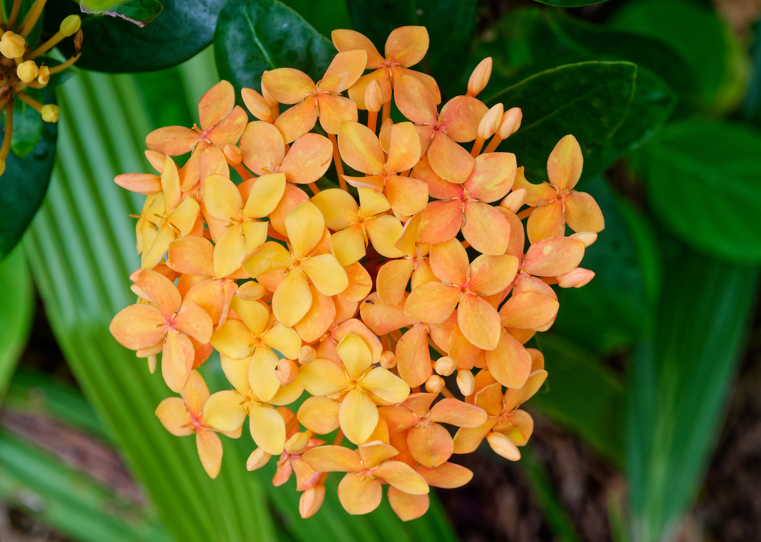 Хайнань 2026, улицы Ялунвань и Саньи. Фотопрогулки по Миру