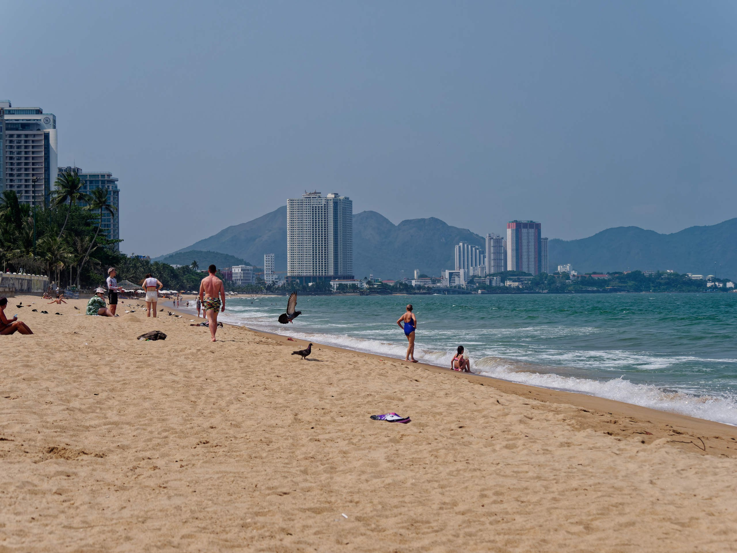 Нячанг 2025 (8). Избранные фотографии