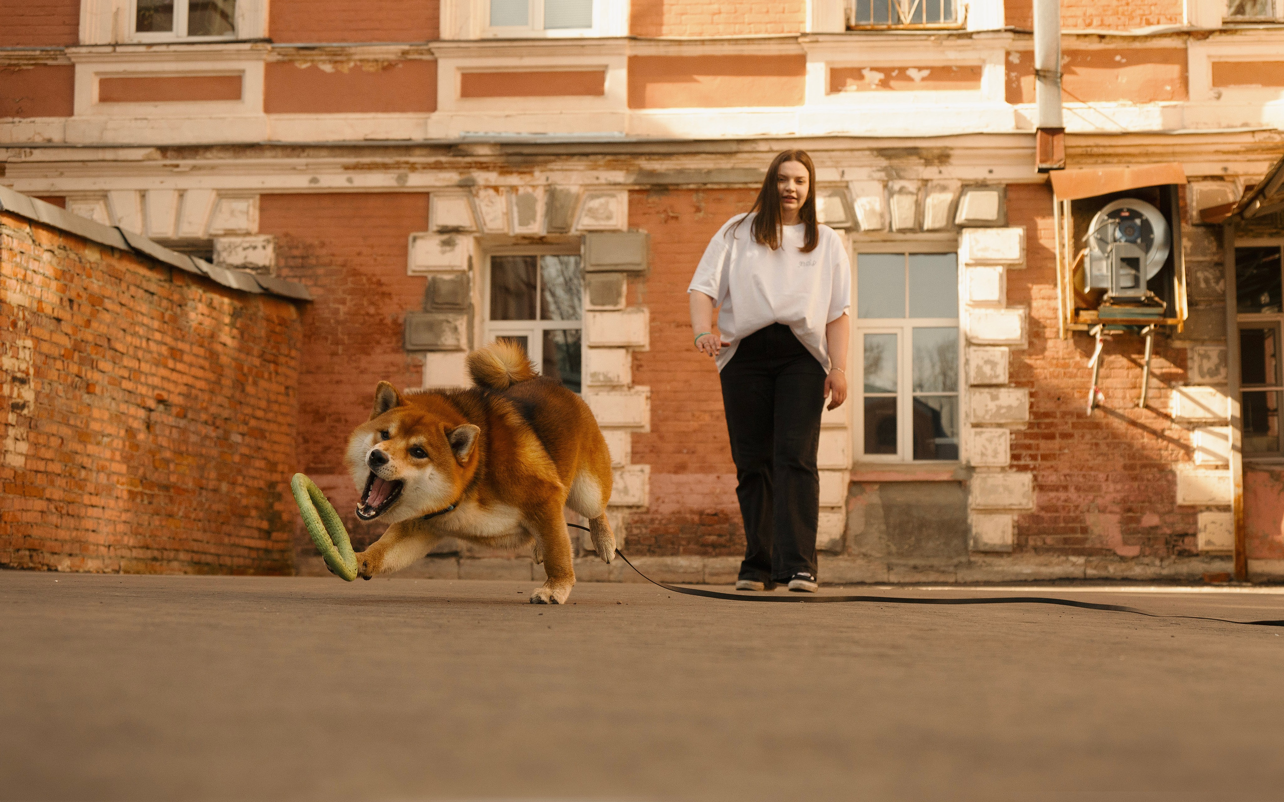 Юнки. Фотограф- анималист Александра Матвеева