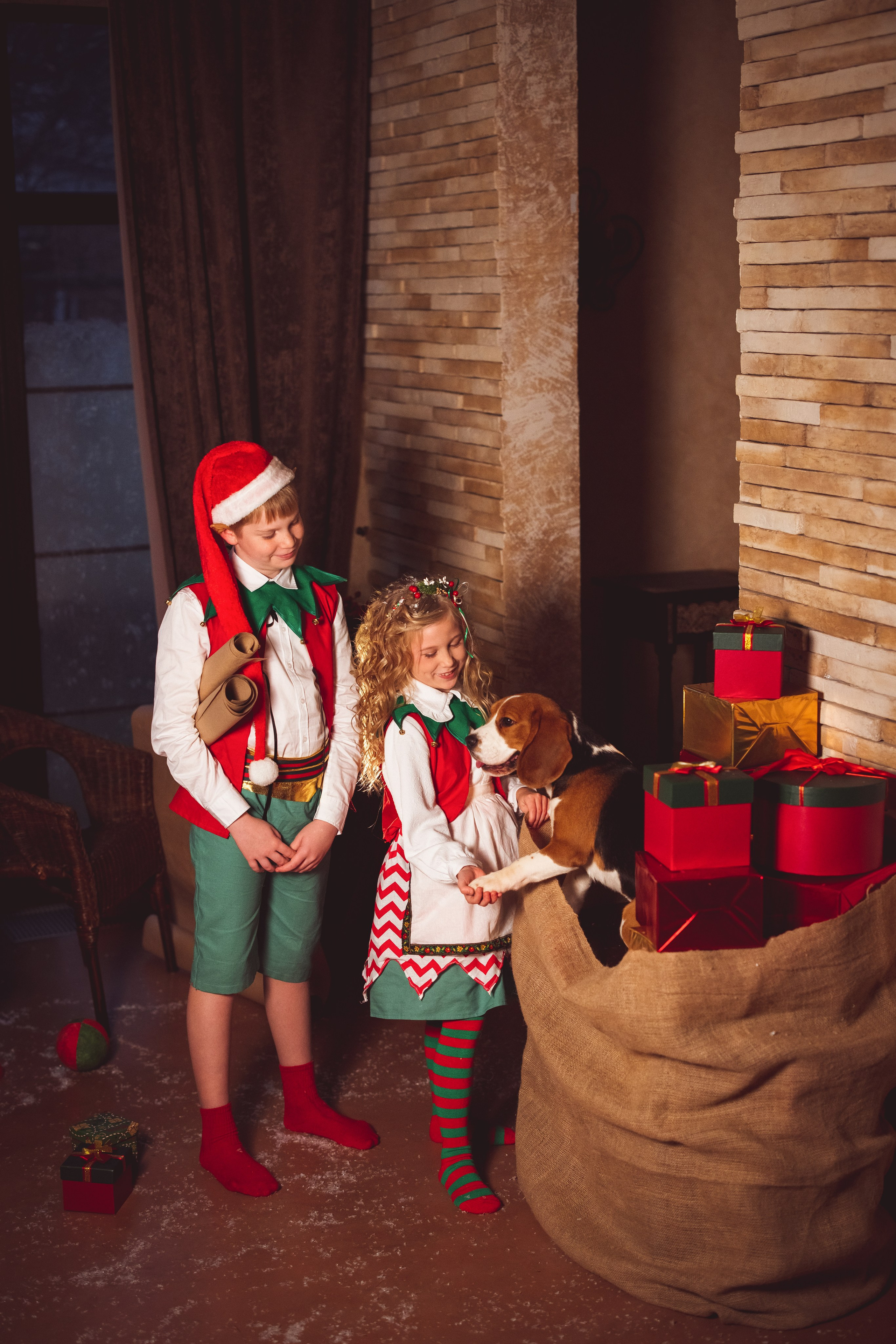 Новогодние ЭЛЬФЫ. Семейный и детский фотограф в Краснодаре Анна Трашкова