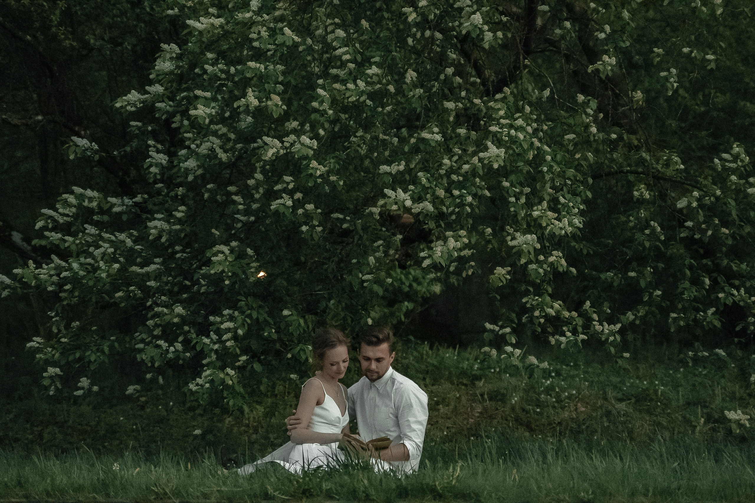 Виолетта и Артём (по мотивам «Красавица и Чудовище»). Свадебный Фотограф Минск || Фото и Видеосъёмка Минск || Другие города