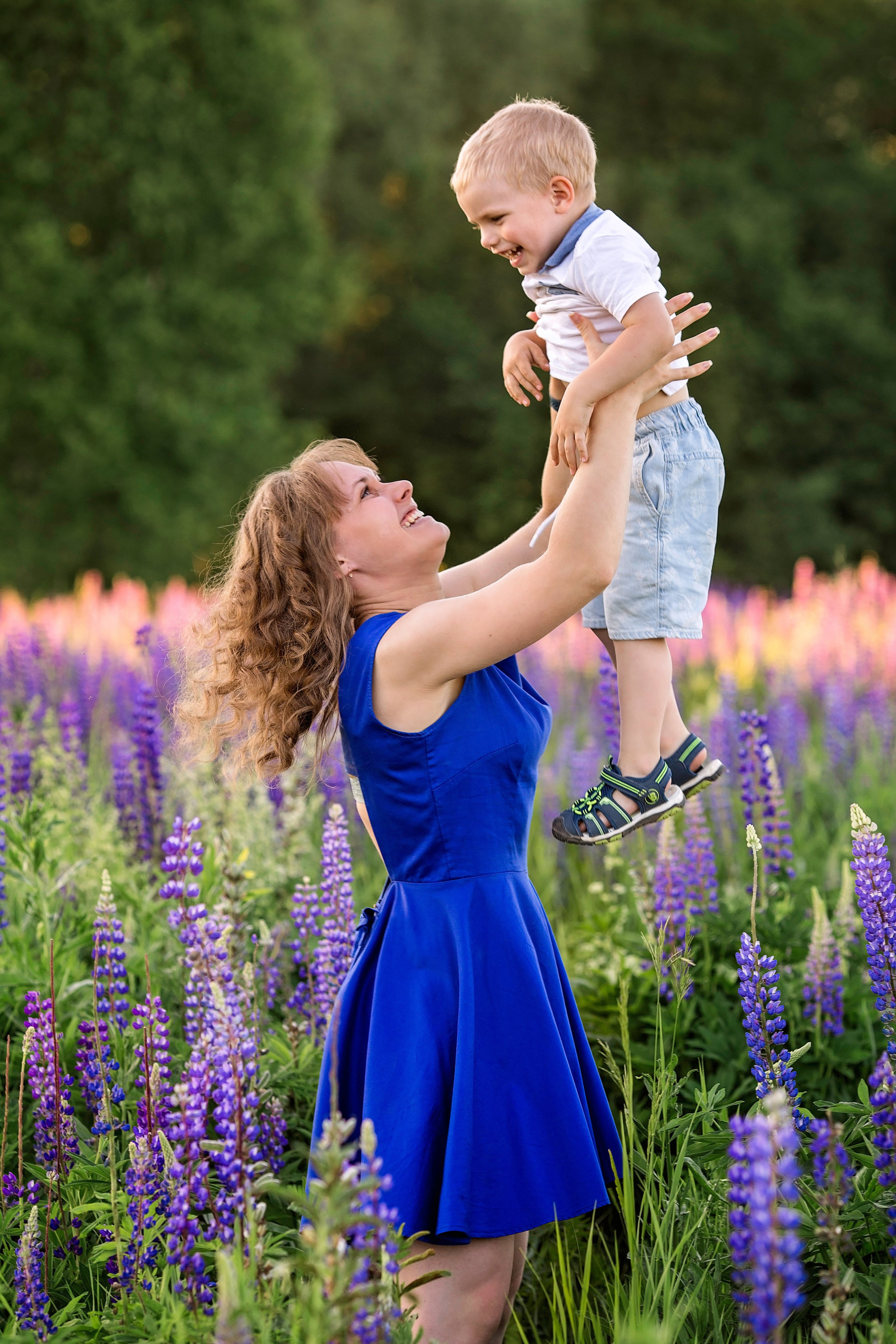 Индивидуальная фотосессия в люпинах (Анна). Главная