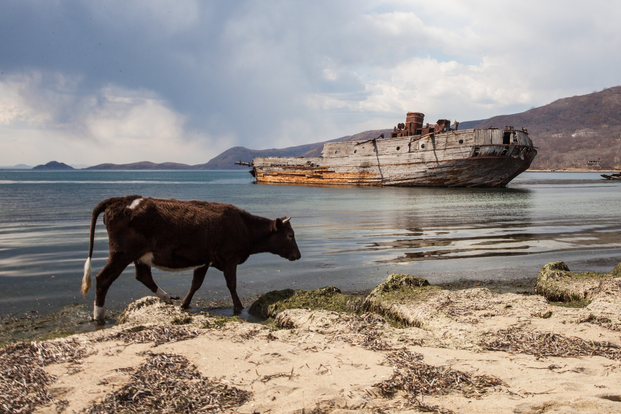 Пейзаж. Репортажный Фотограф во Владивостоке и России Осипчук Дмитрий