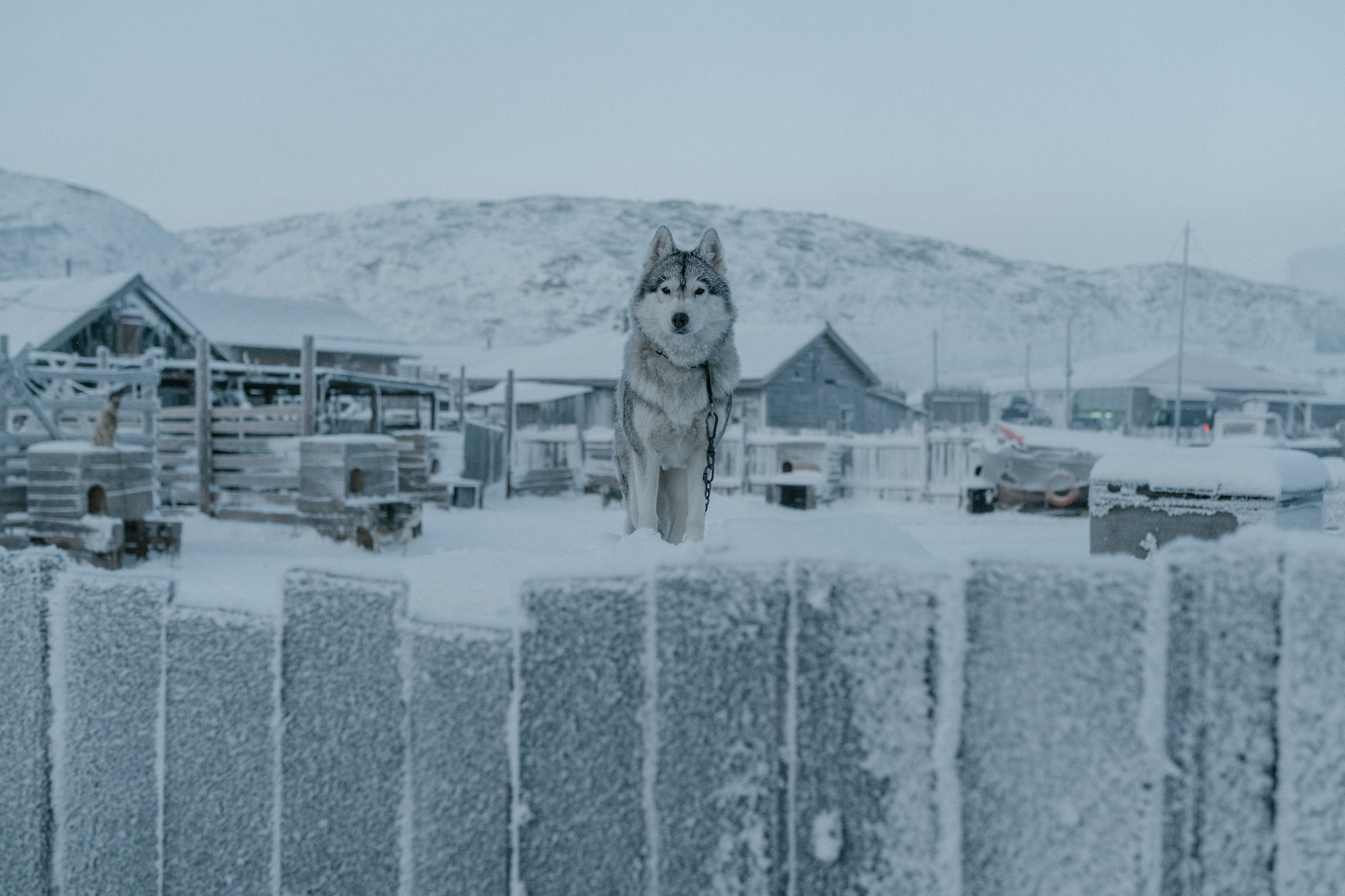 Фотографии Териберки | Филипп Линзин. Репортажный и портретный фотограф в Санкт-Петербурге Филипп Линзин